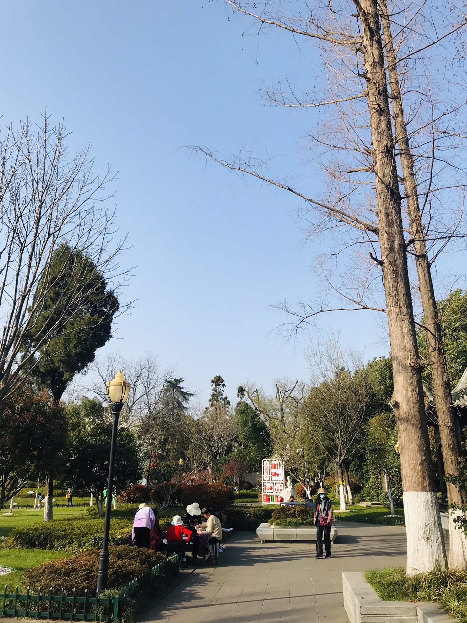 和平公园旅行图片 2