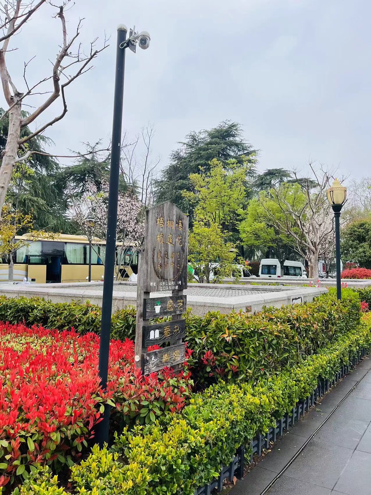 和平公园旅行图片 3