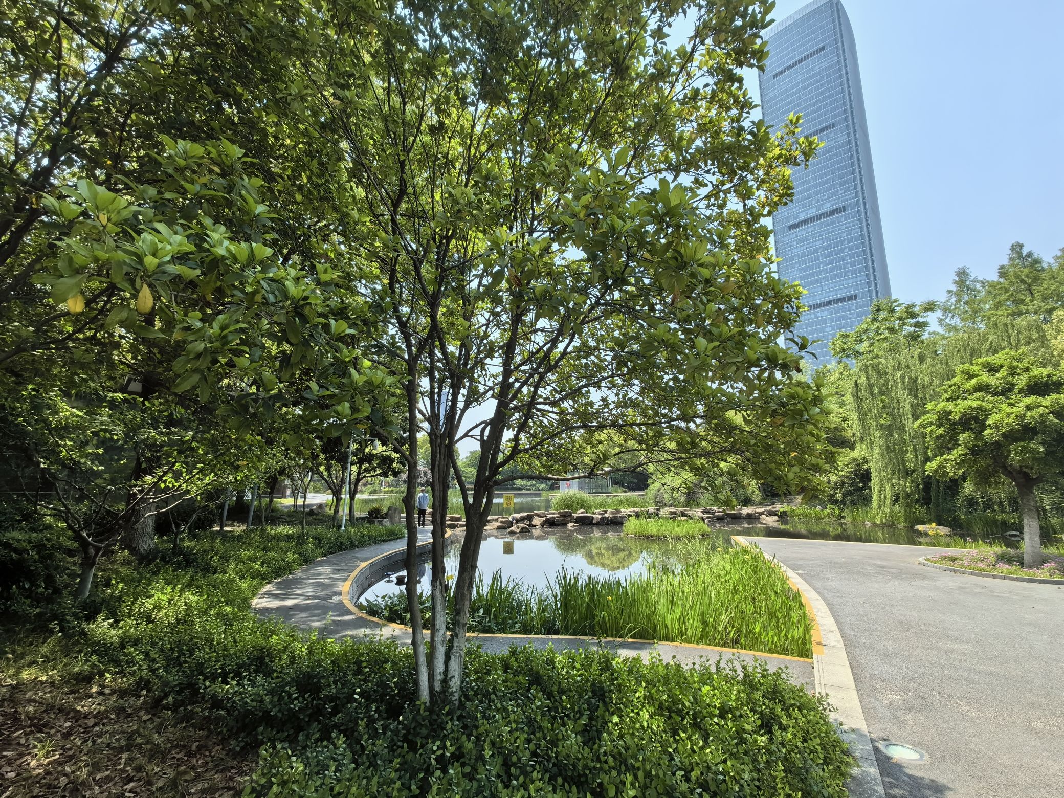 河西中央公园旅行图片 3