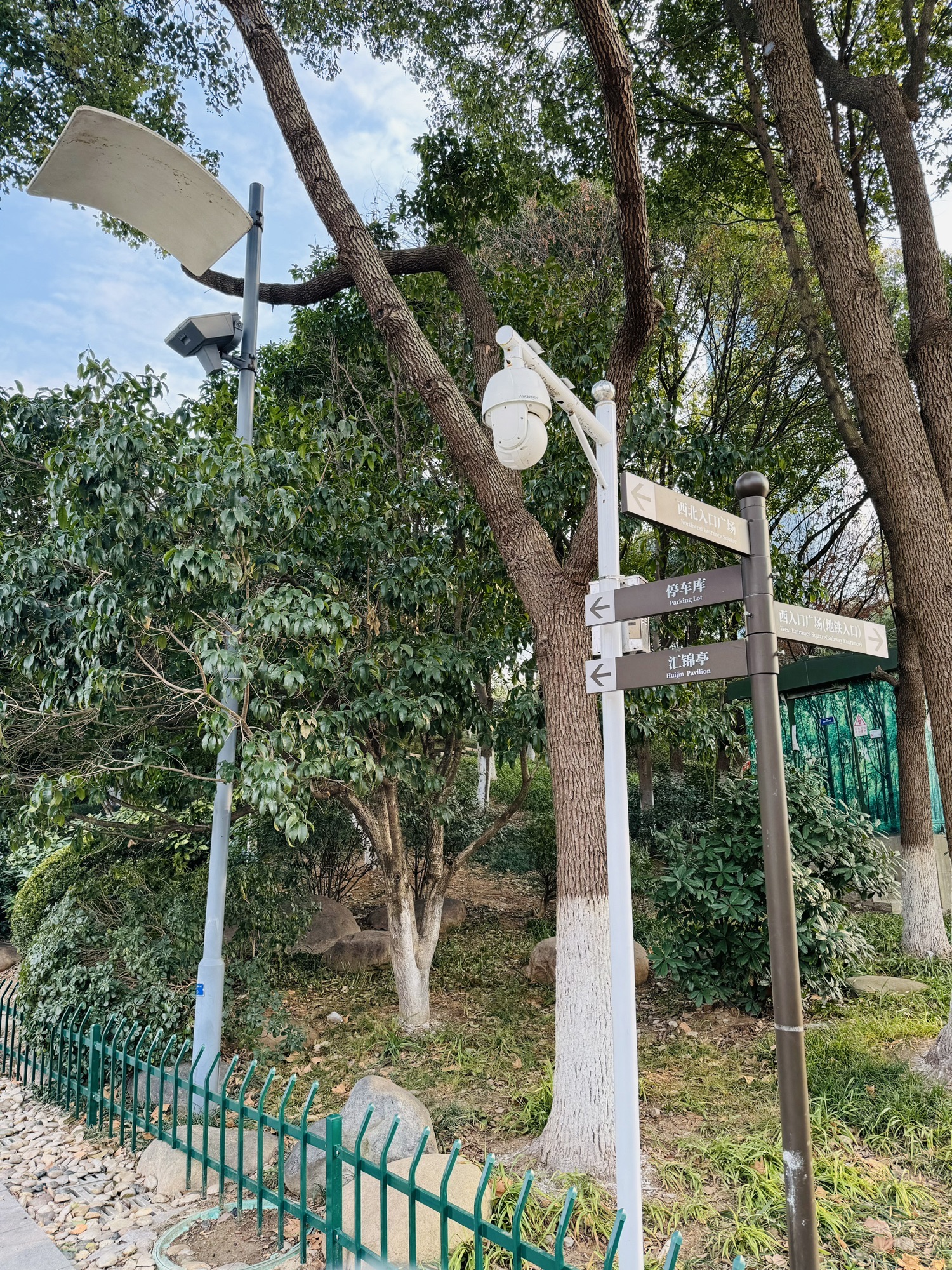 河西中央公园旅行图片 3