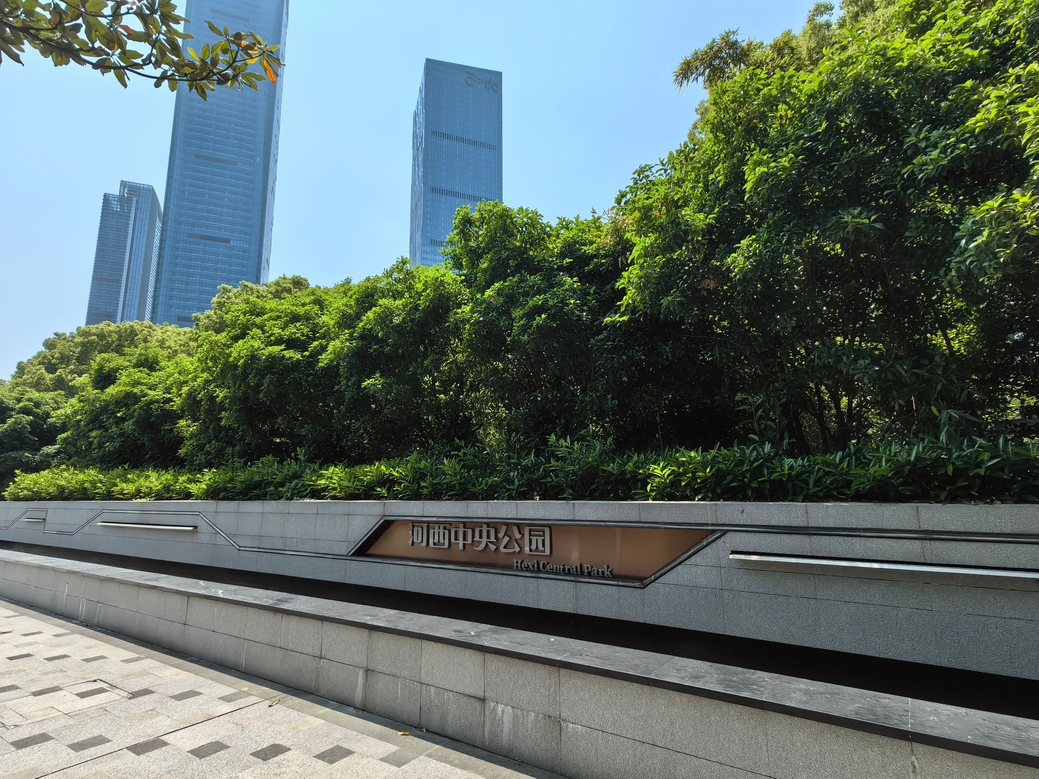 河西中央公园旅行图片 1