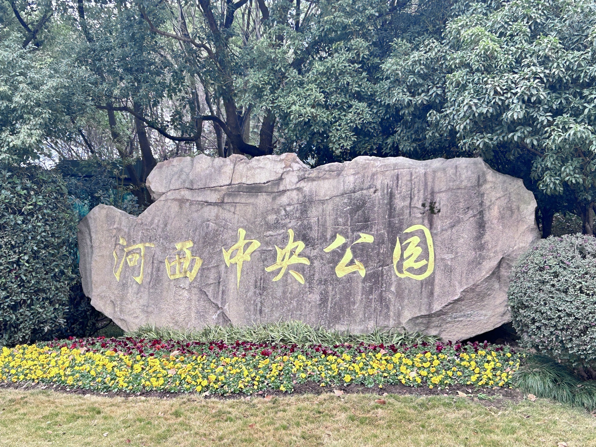 河西中央公园旅行图片 3
