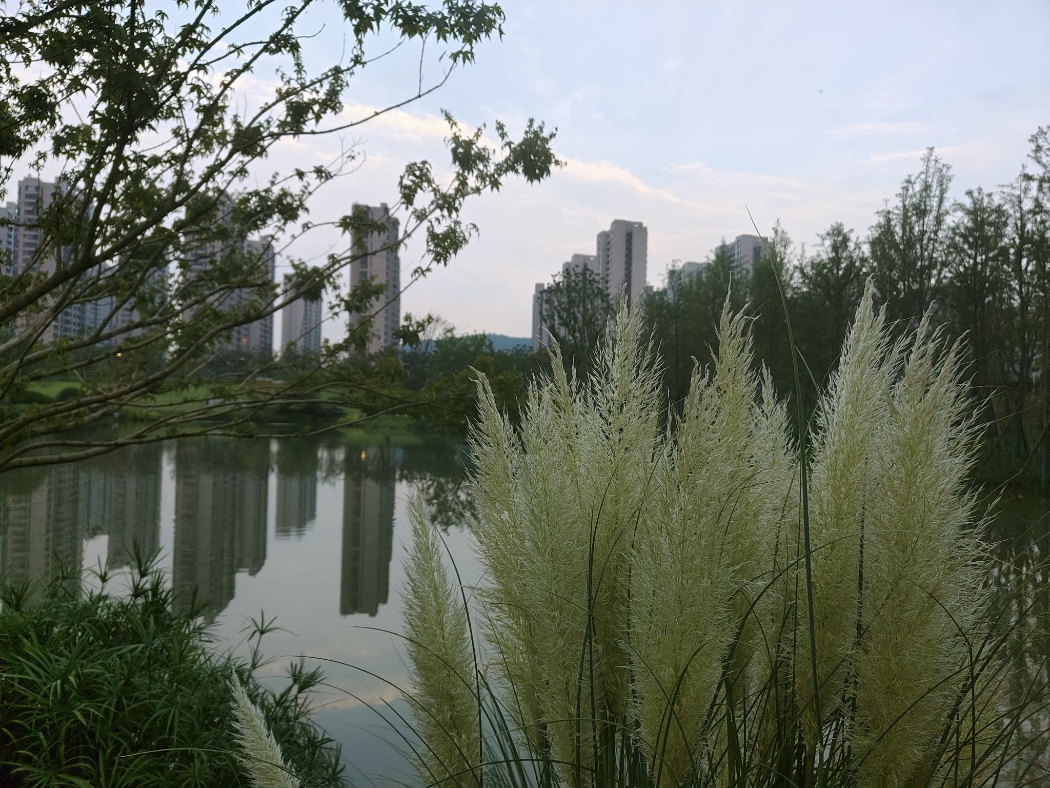 陈陵石刻公园旅行图片 3