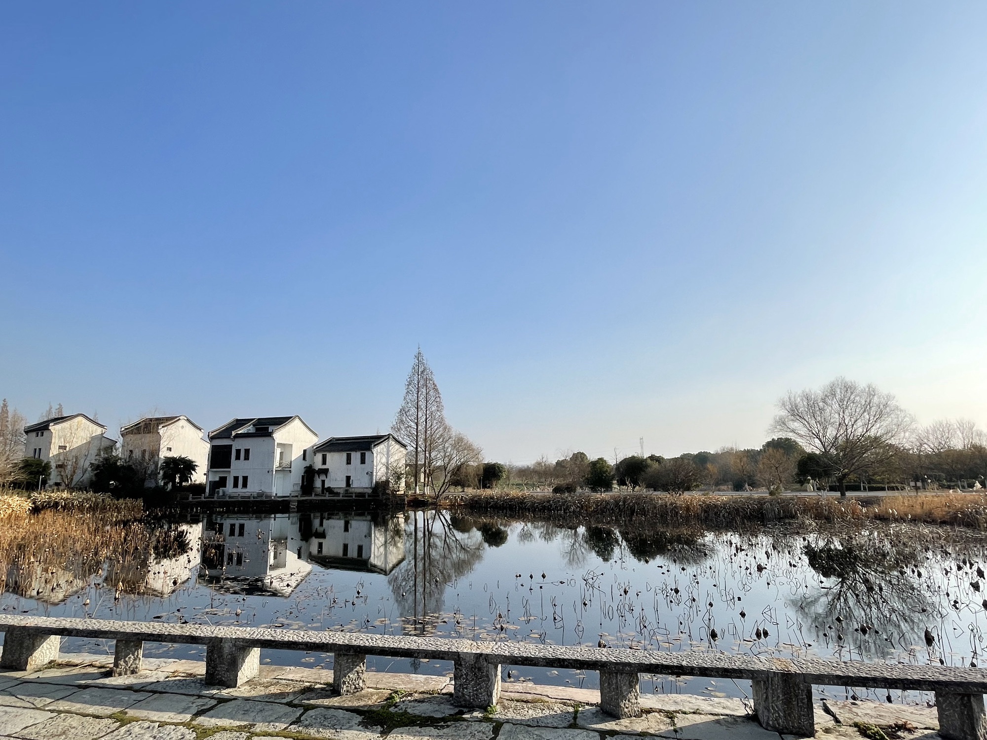 南京杨柳湖风景区旅行图片 1