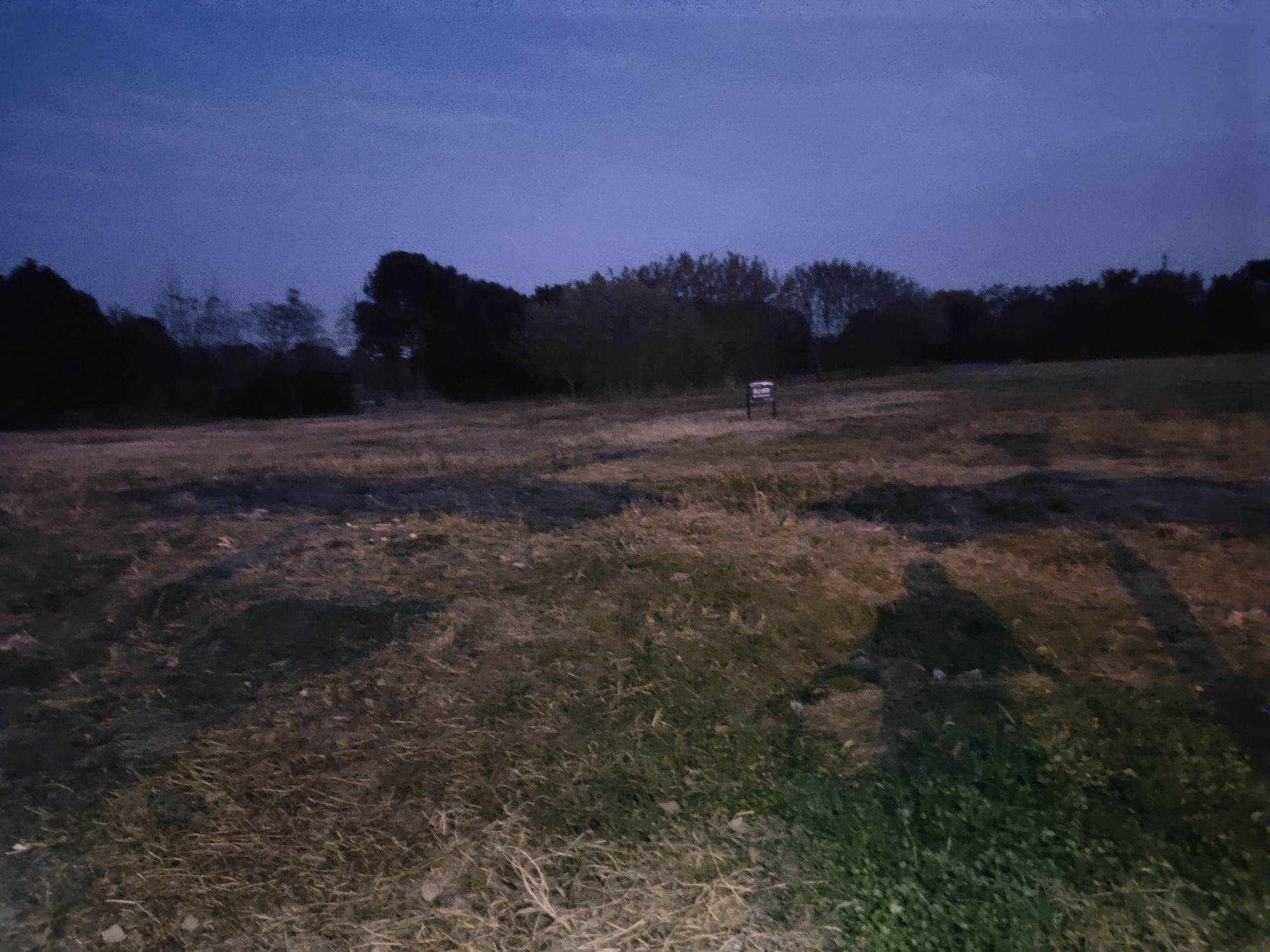 南京杨柳湖风景区旅行图片 3