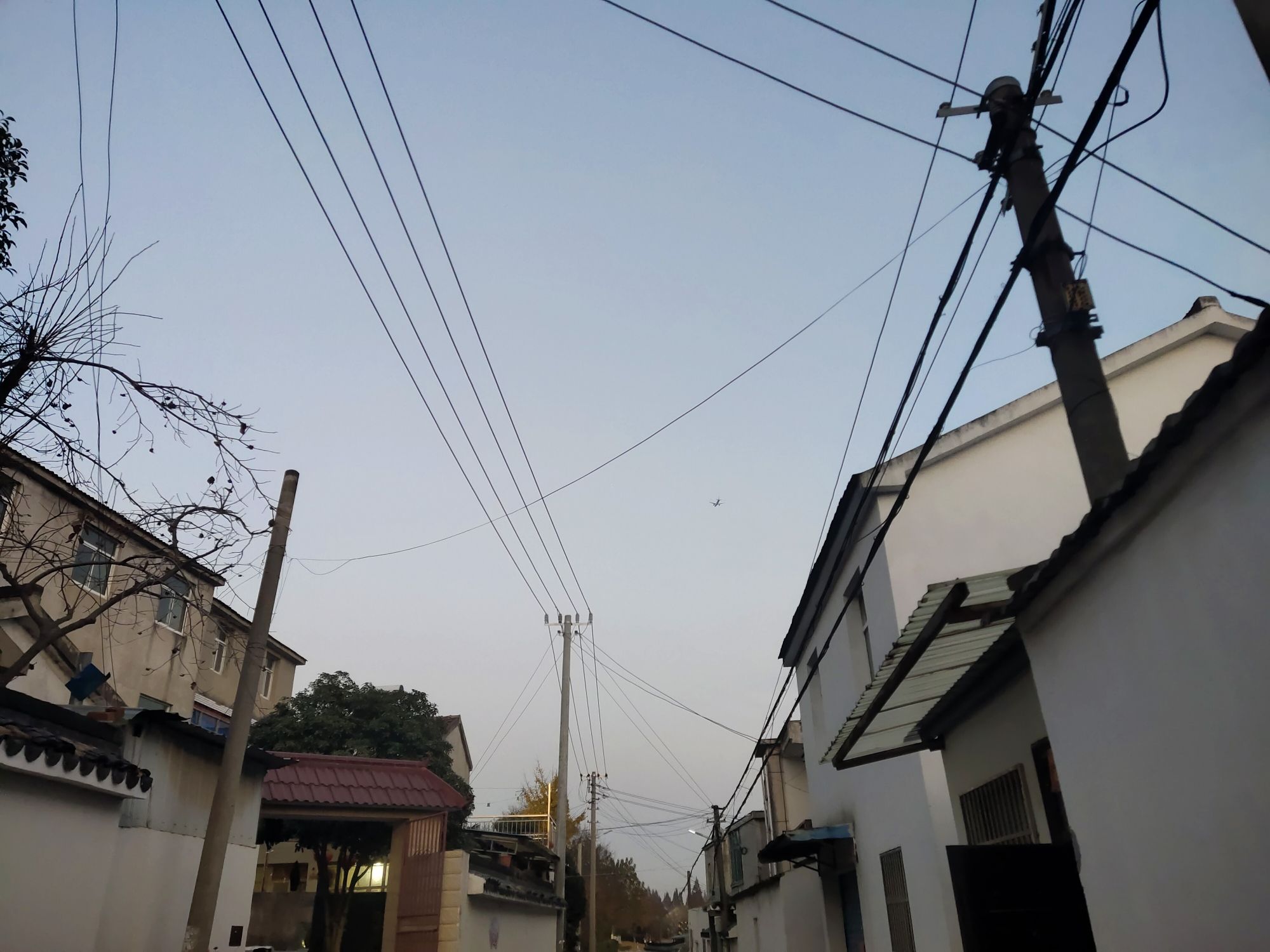 南京杨柳湖风景区旅行图片 1