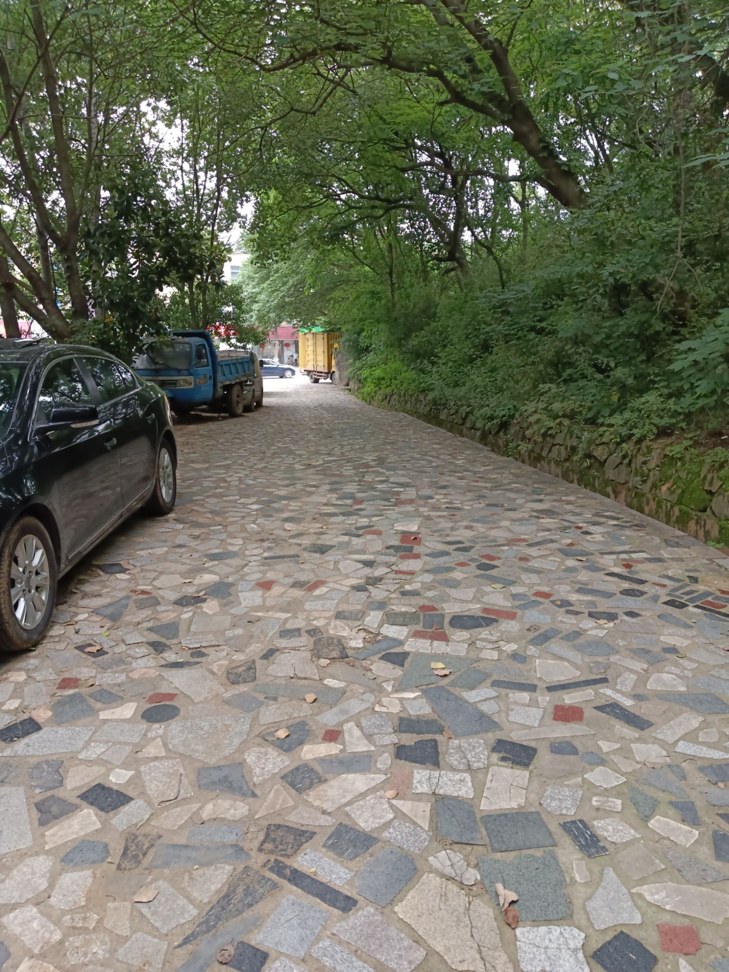 狮子山公园旅行图片 3