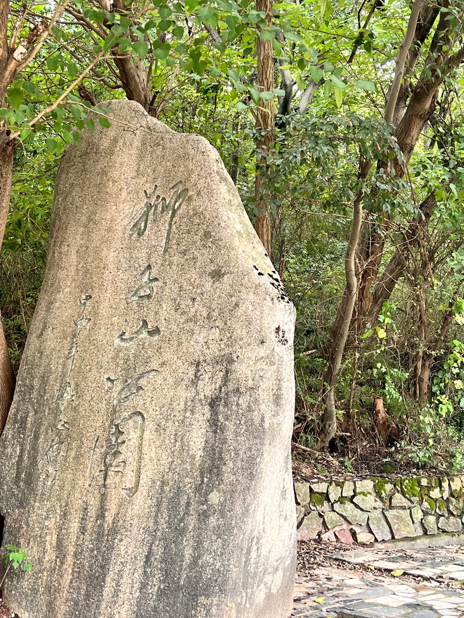 狮子山公园旅行图片 1