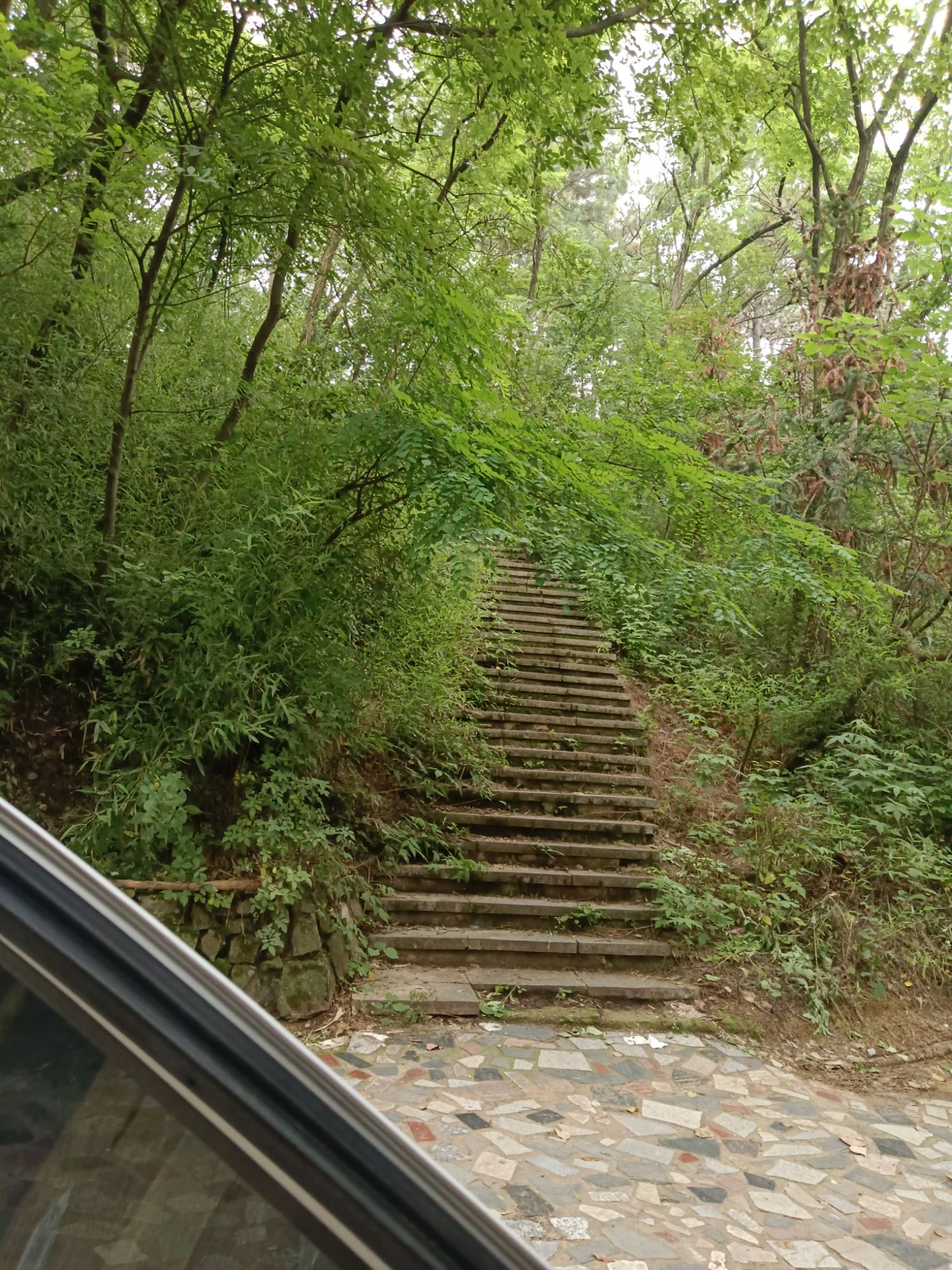 狮子山公园旅行图片 1