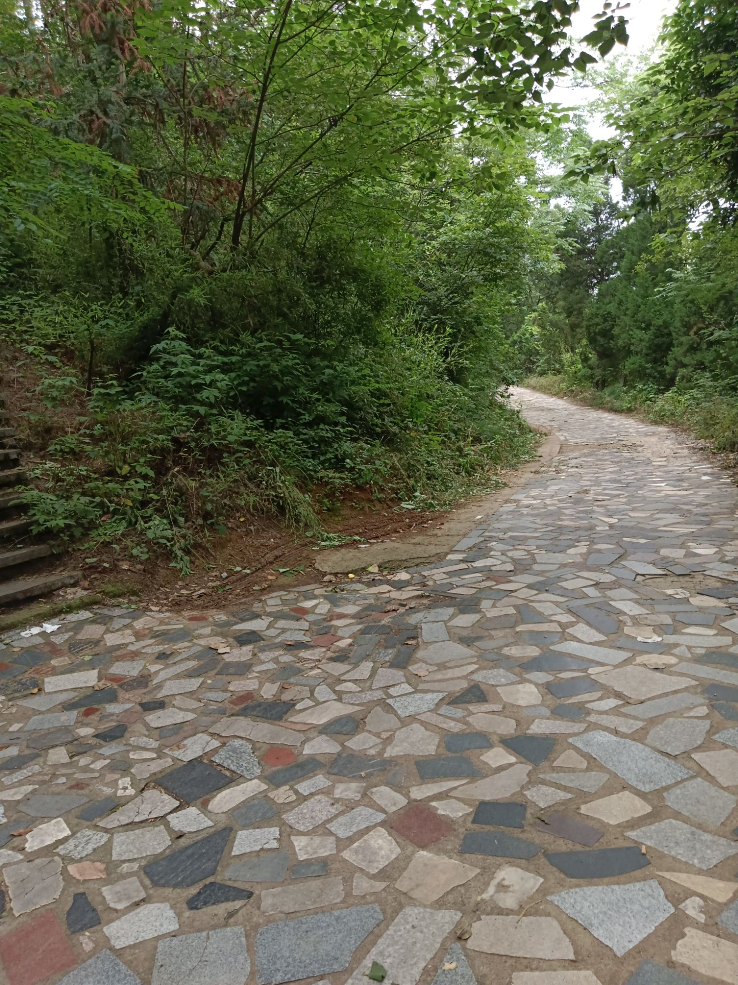 狮子山公园旅行图片 2