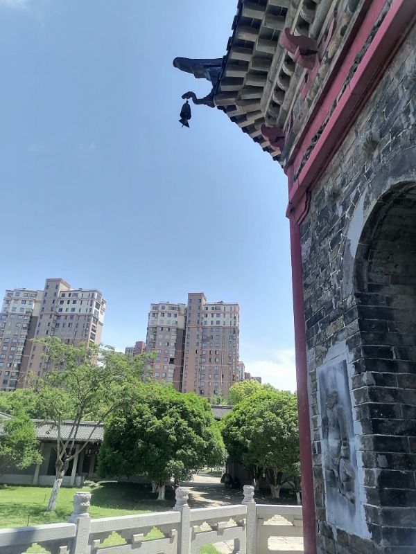 永寿塔旅行图片 2