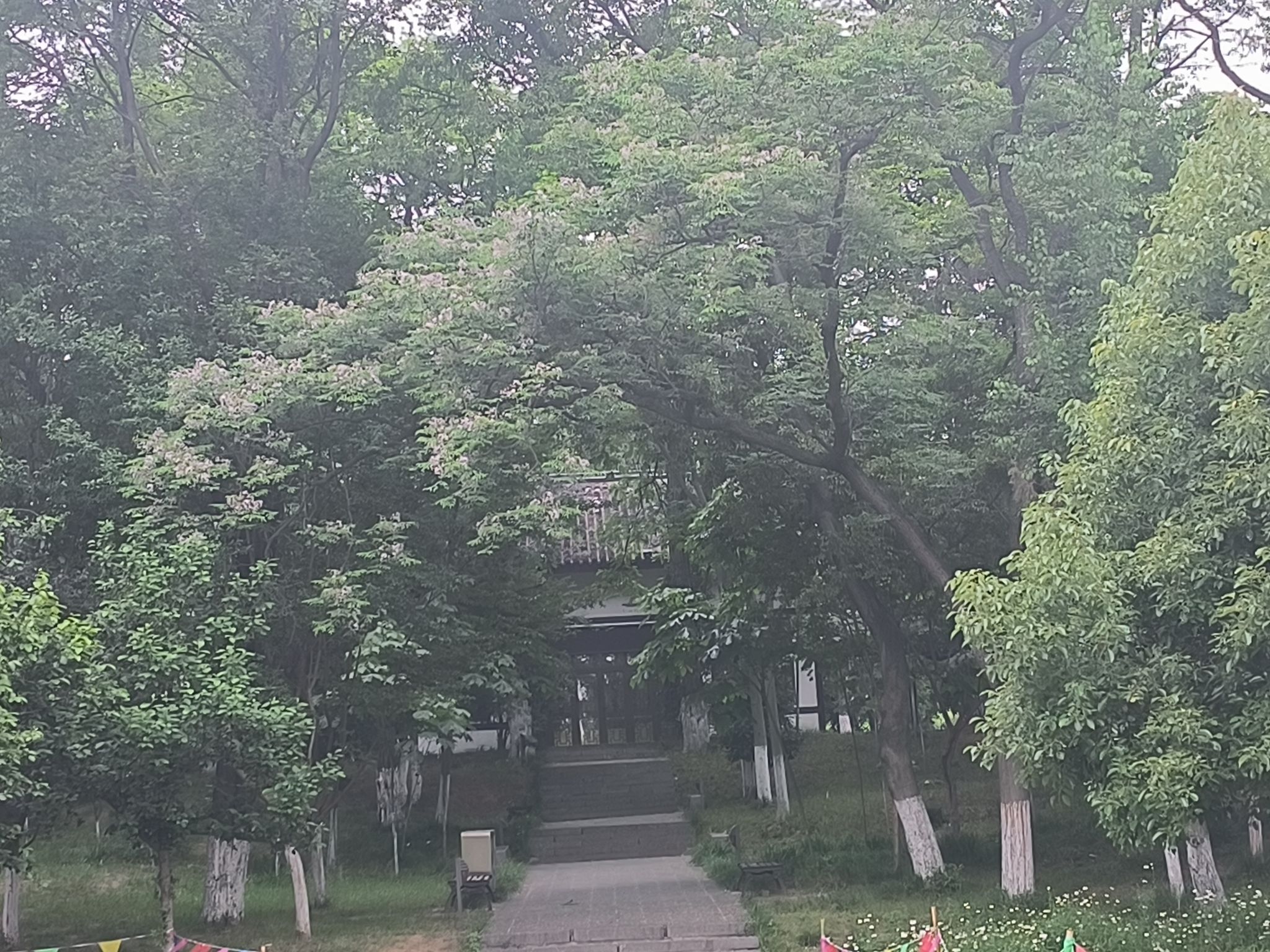 凤凰山公园旅行图片 3