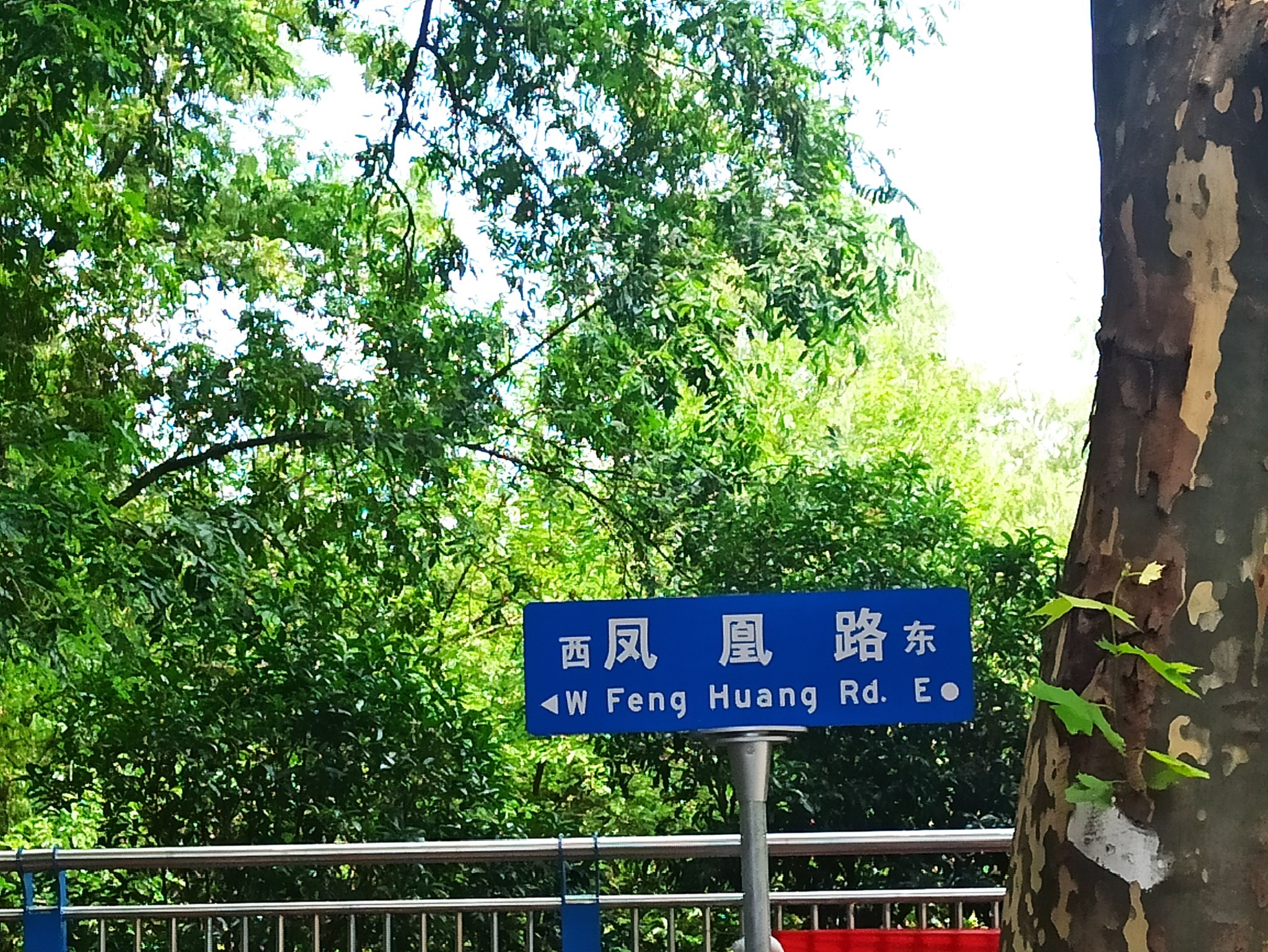 凤凰山公园旅行图片 3