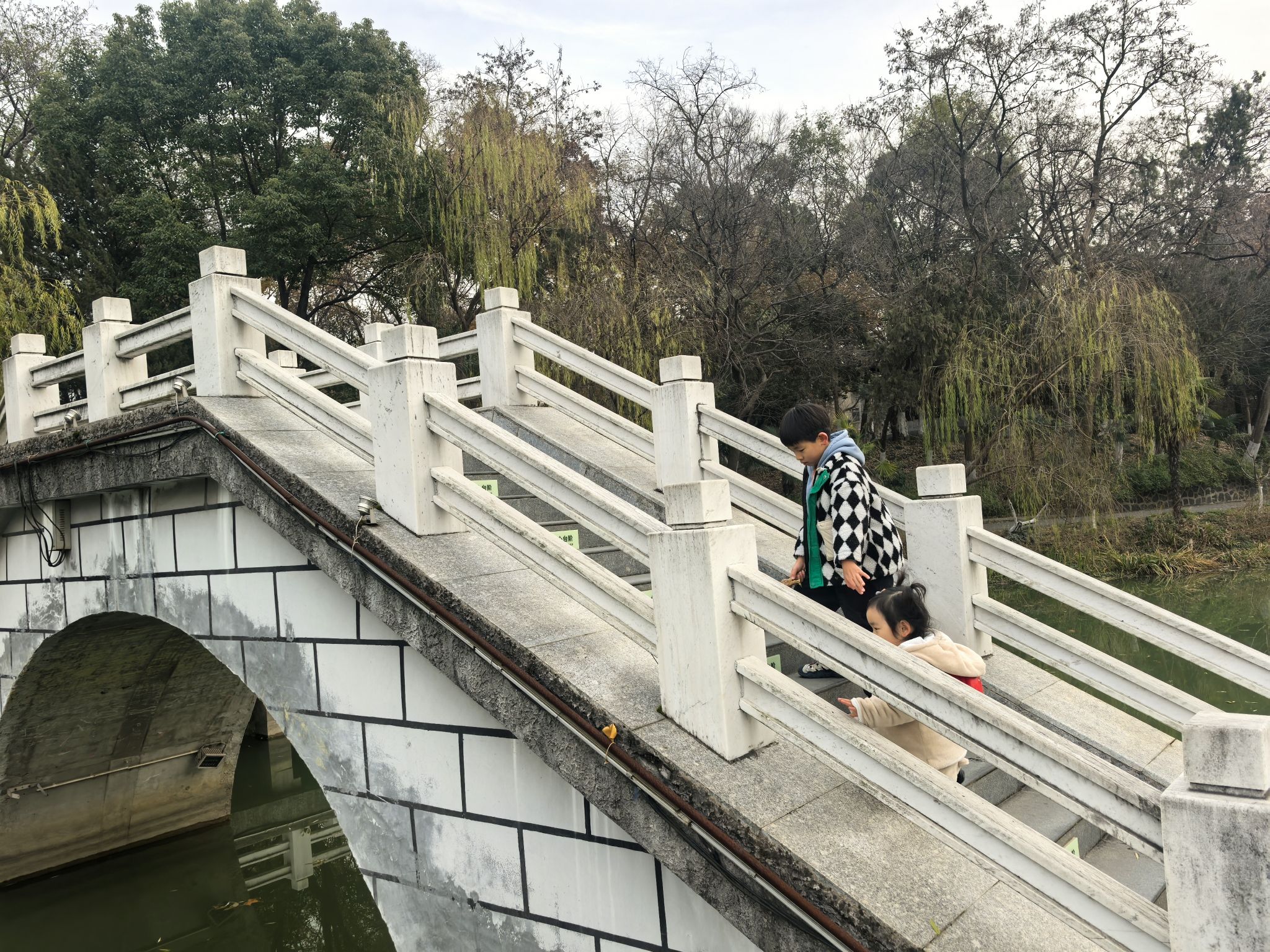 凤凰山公园旅行图片 2