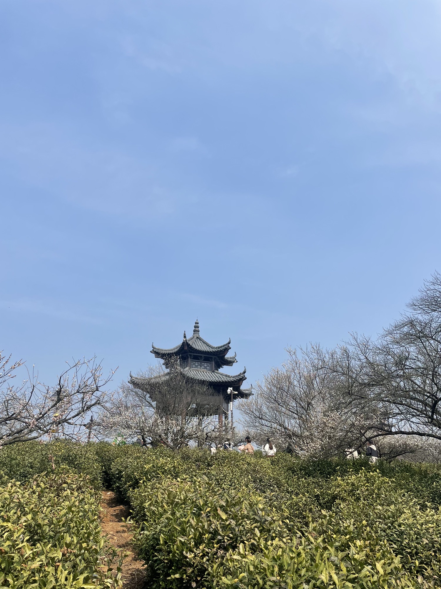 傅家边农业科技园旅行图片 3