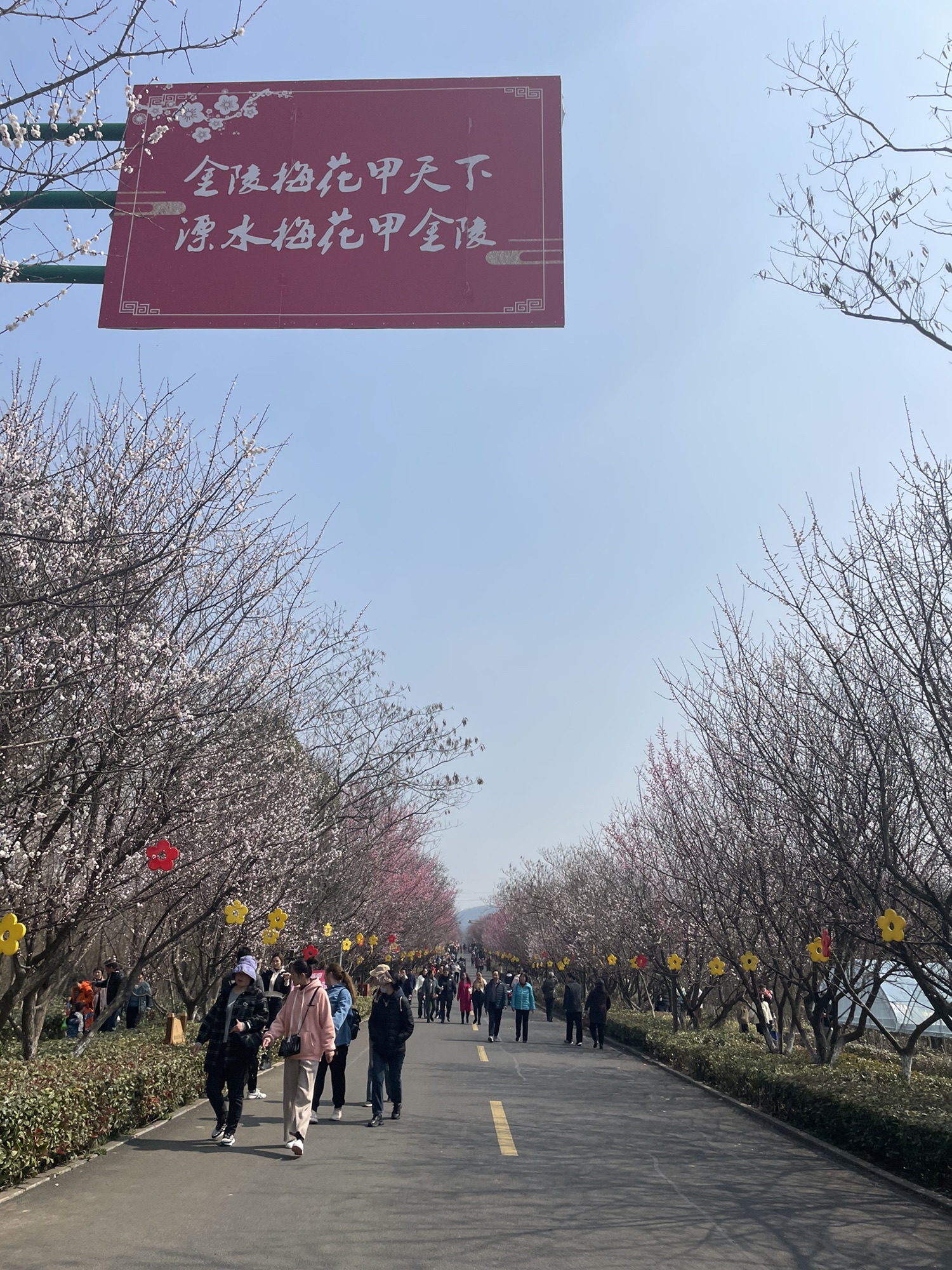 傅家边农业科技园旅行图片 2