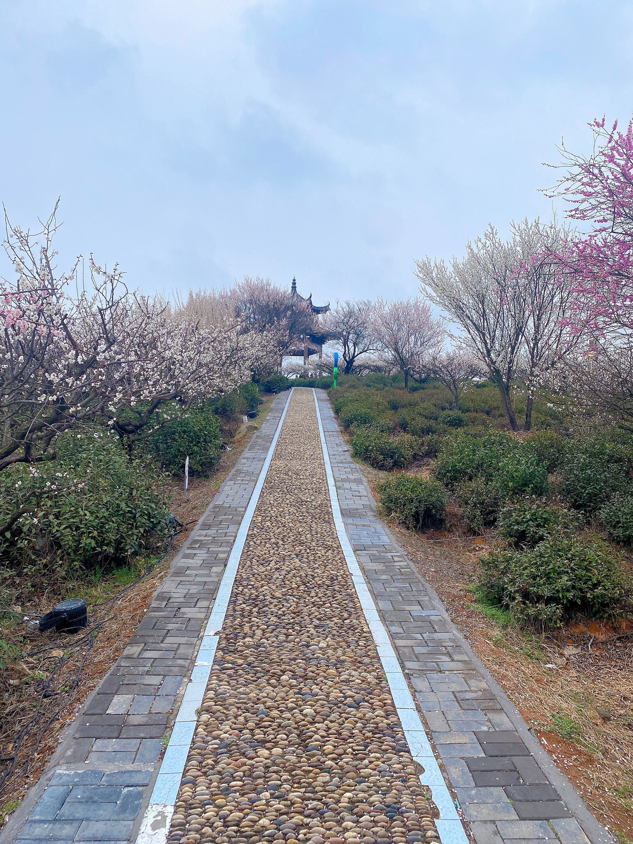 傅家边农业科技园旅行图片 1