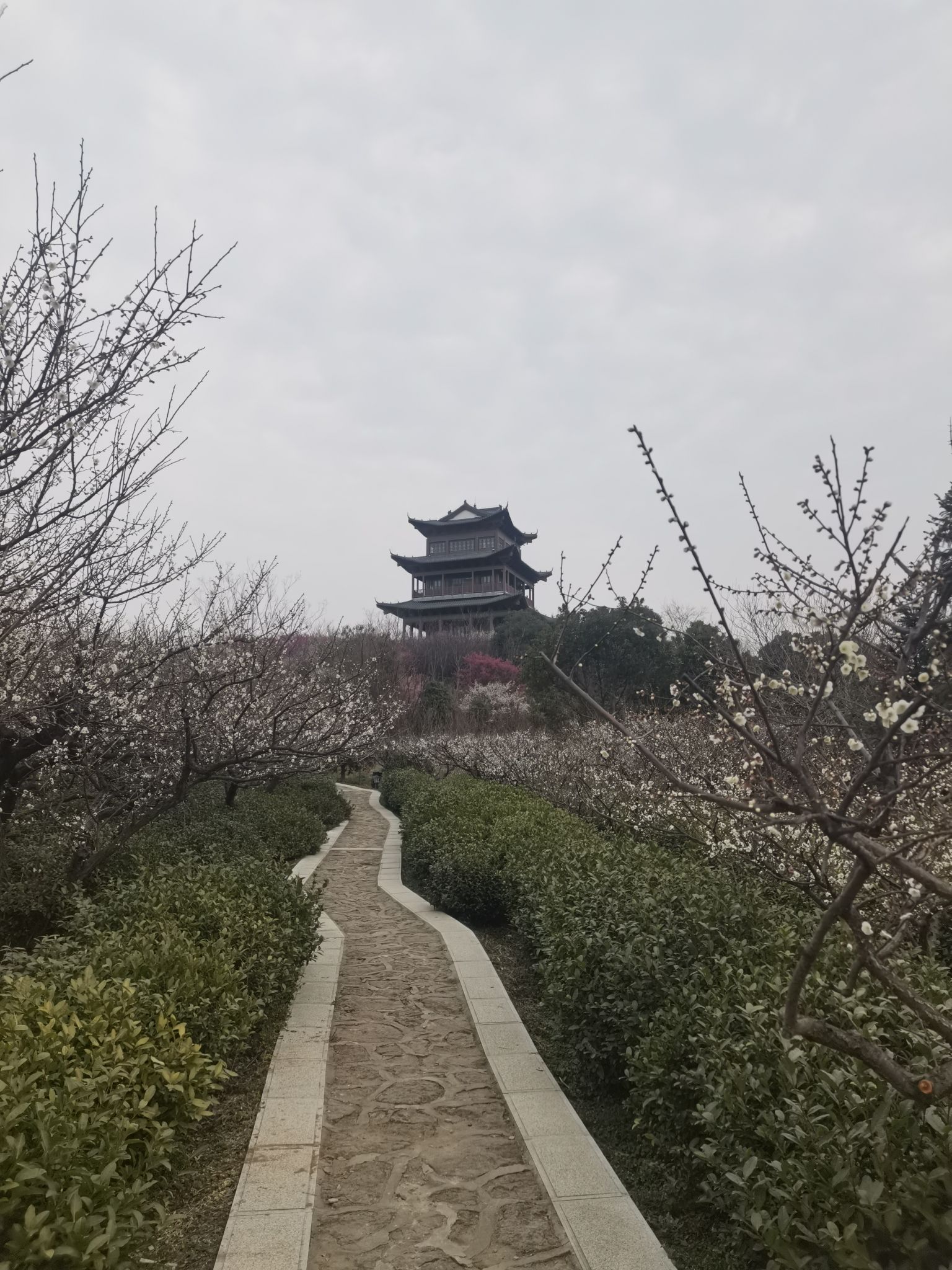 傅家边农业科技园旅行图片 1