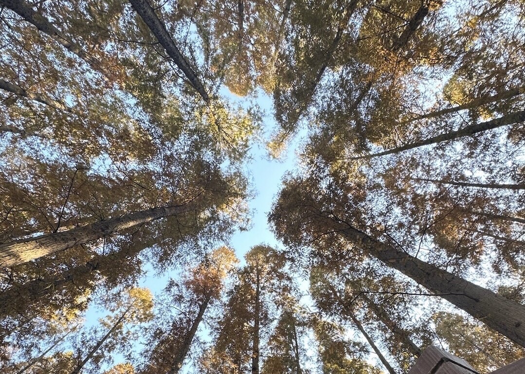 南京金牛湖风景区旅行图片 3