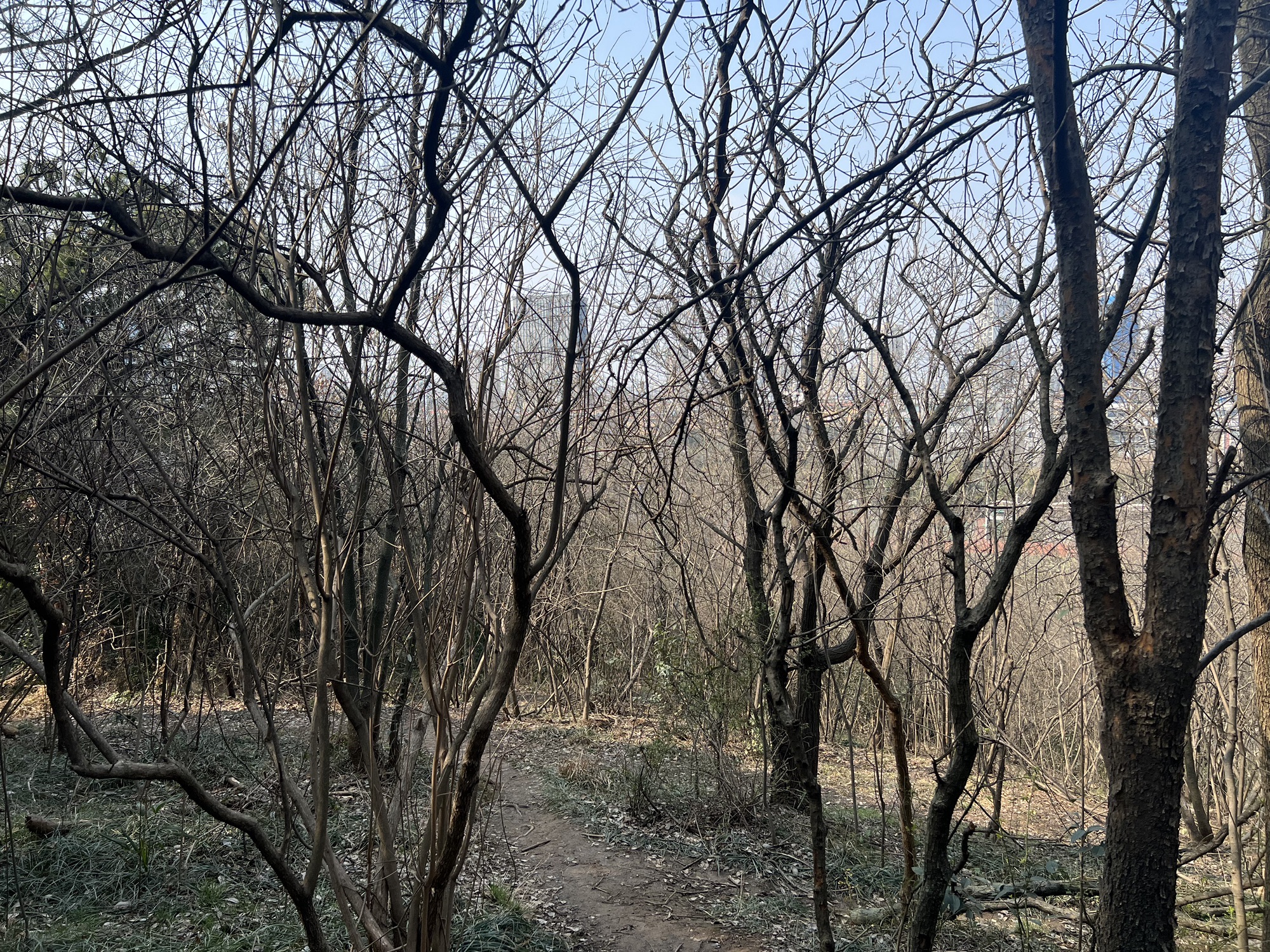 太子山公园旅行图片 3