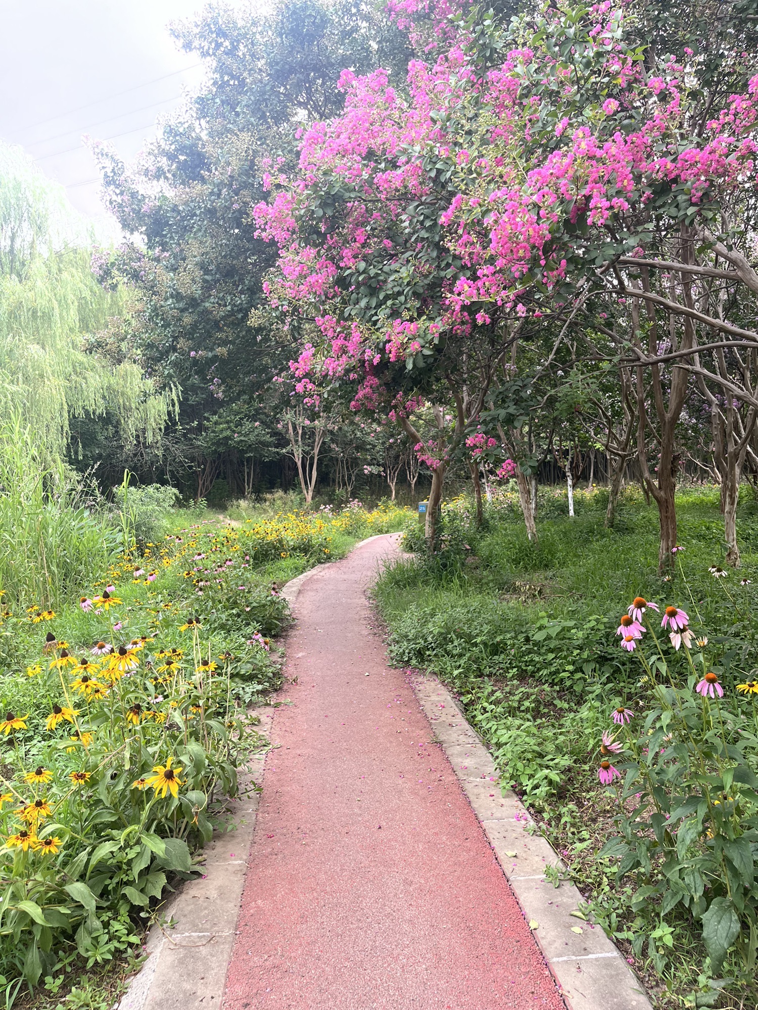 太子山公园旅行图片 3