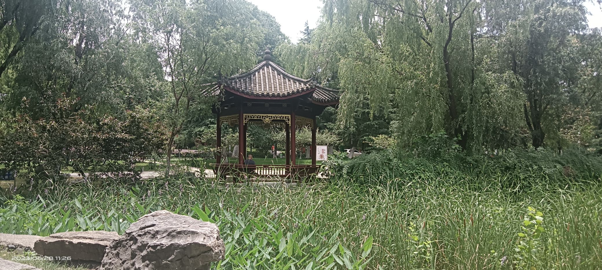 太子山公园旅行图片 2