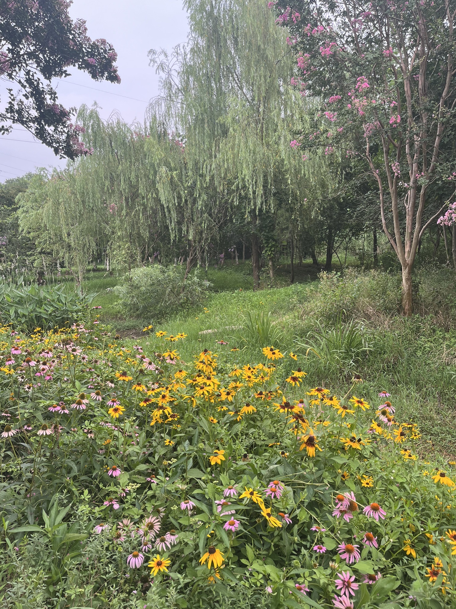 太子山公园旅行图片 2