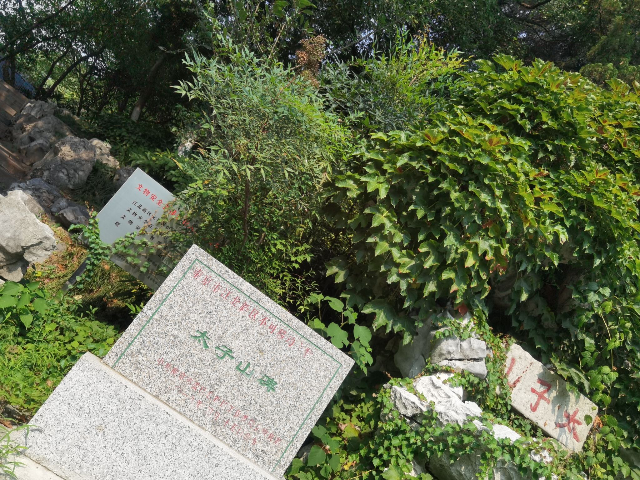 太子山公园旅行图片 3