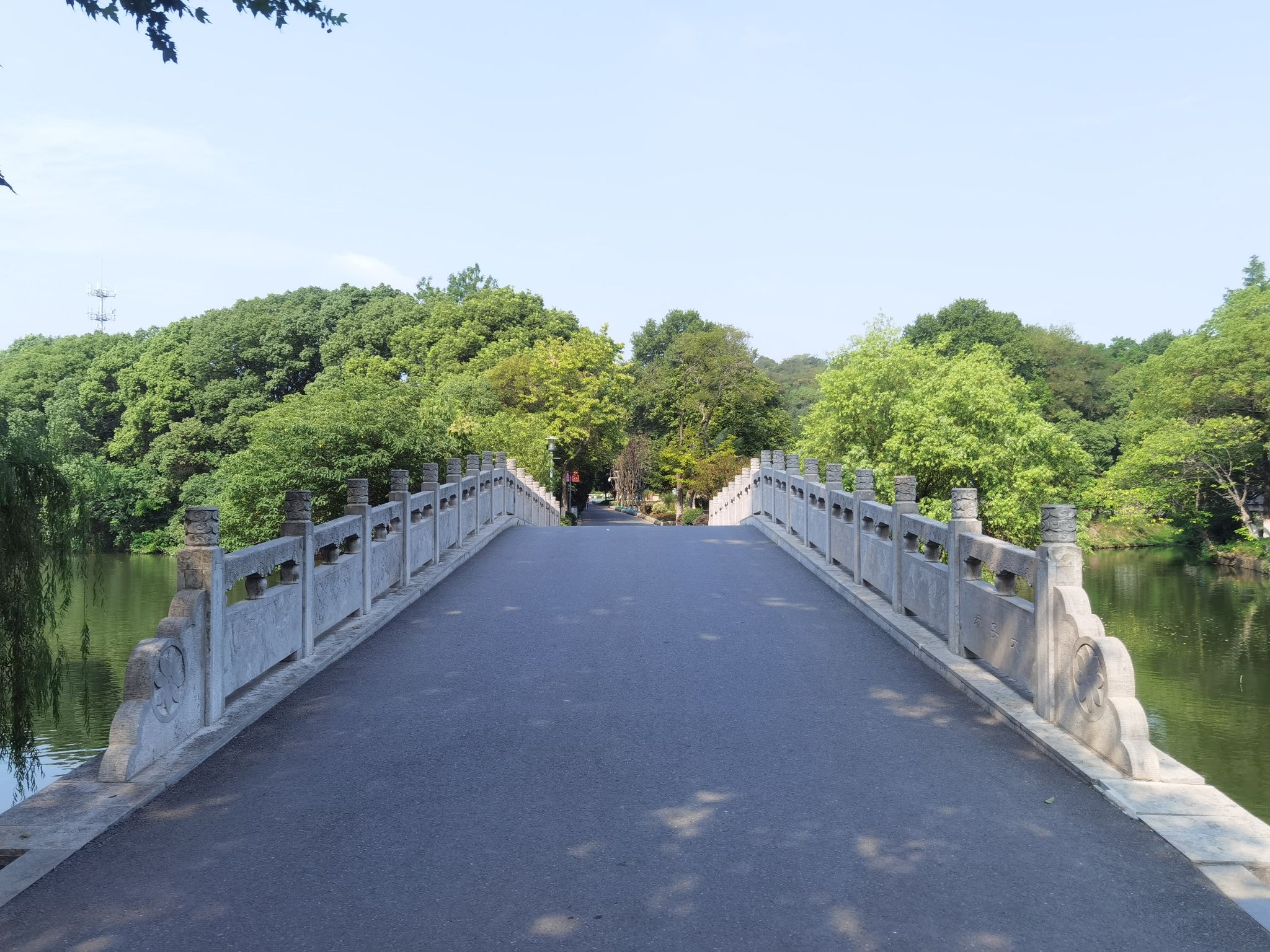 太子山公园旅行图片 1