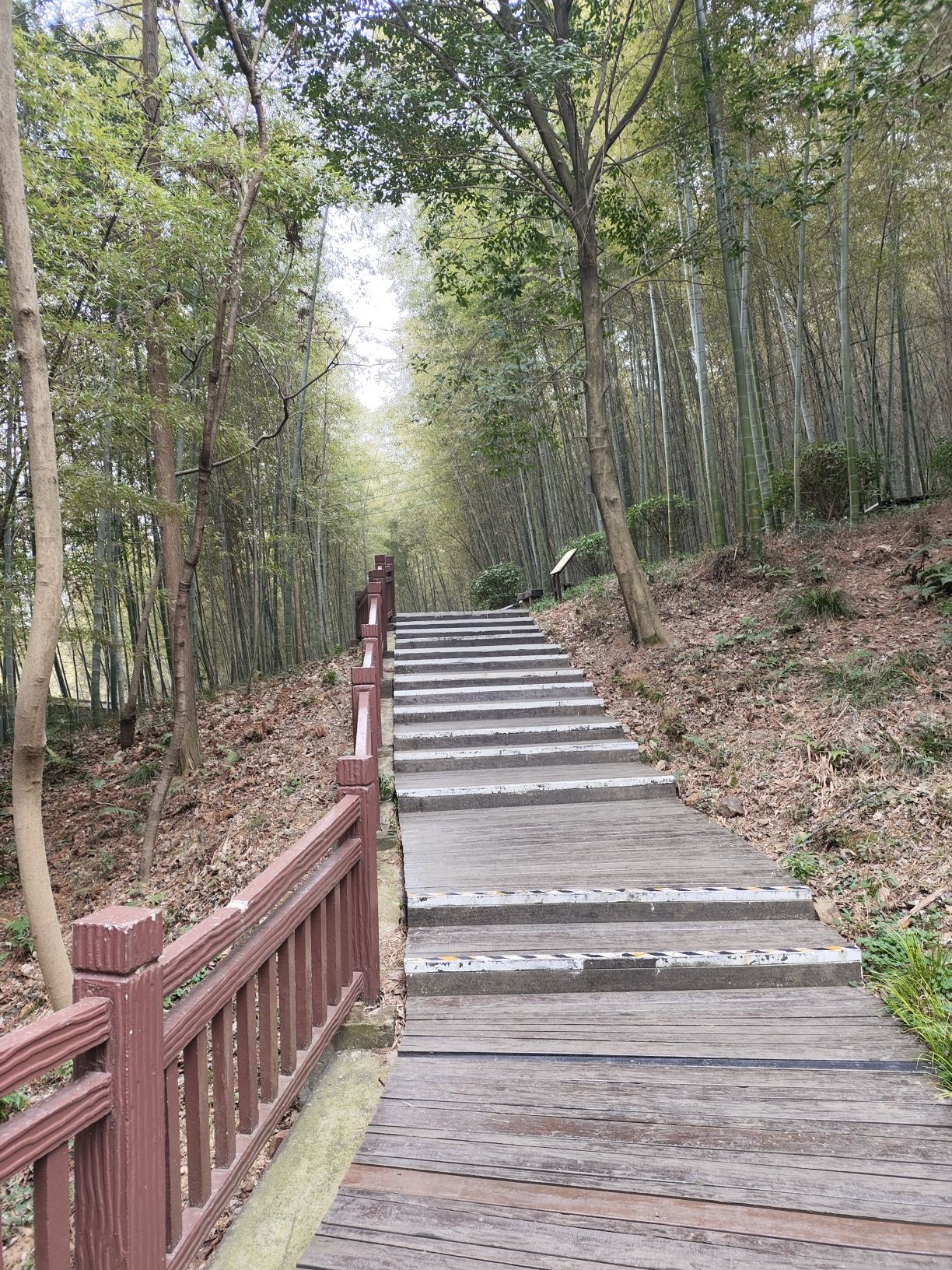 南京游子山休闲旅游区旅行图片 1