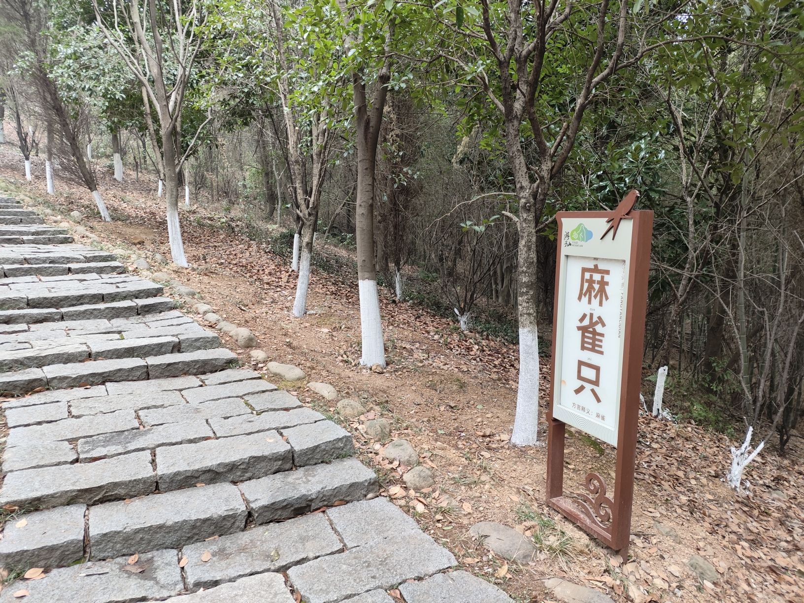 南京游子山休闲旅游区旅行图片 3