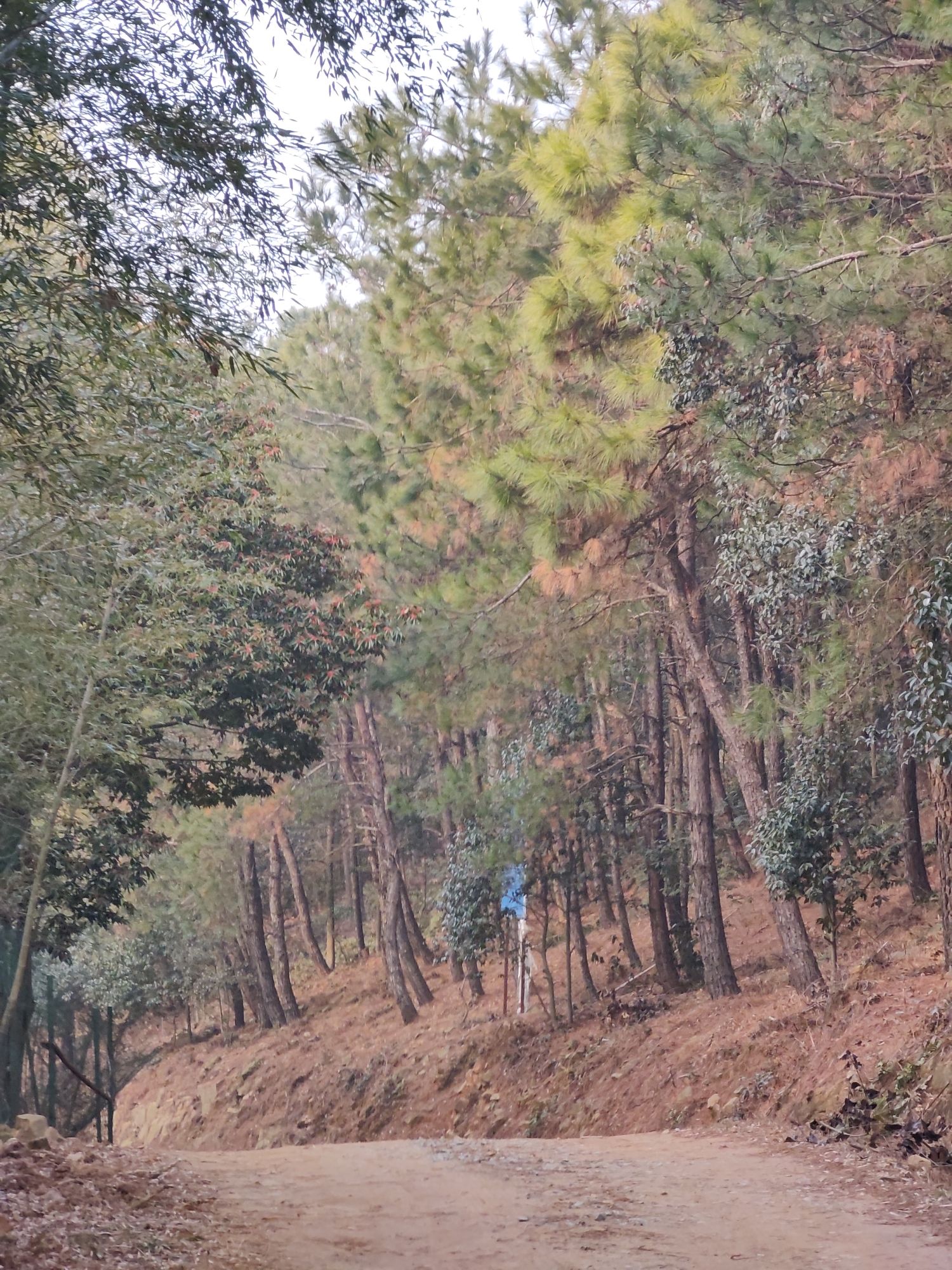 横山风景区旅行图片 2