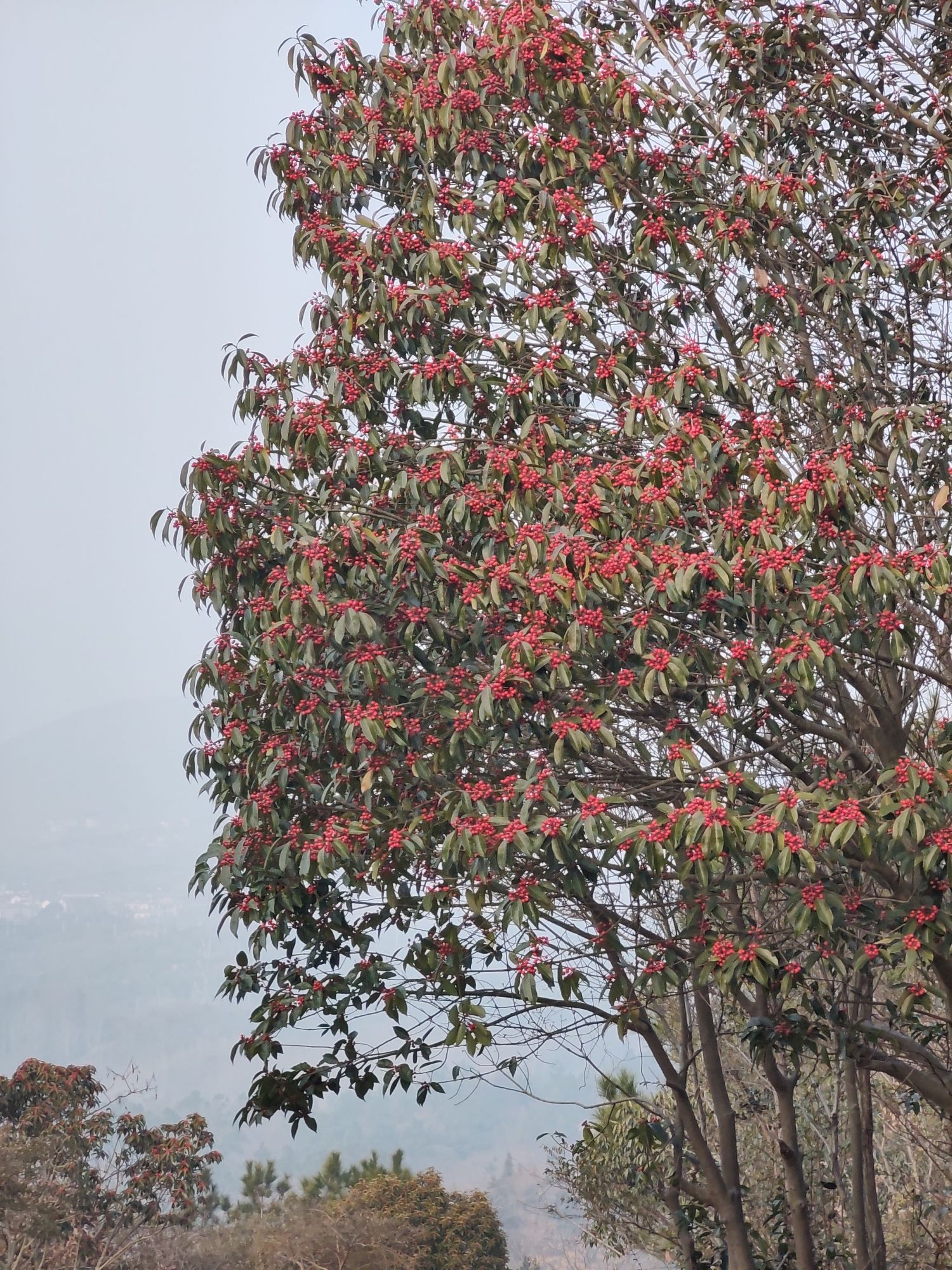 横山风景区旅行图片 1