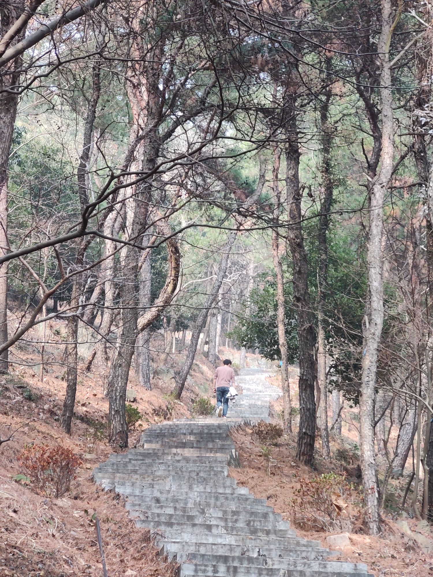 横山风景区旅行图片 3