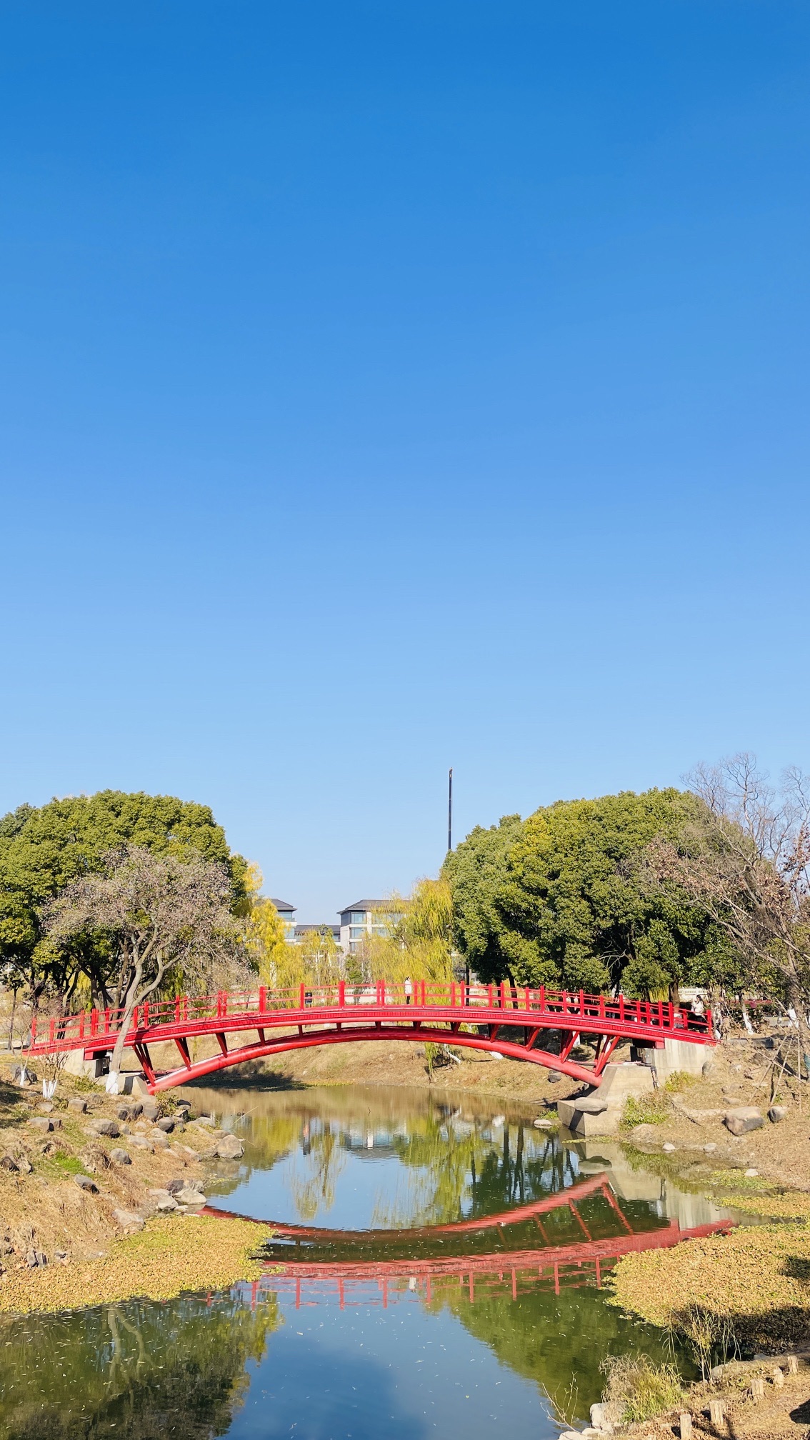 南京七桥瓮公园旅行图片 1