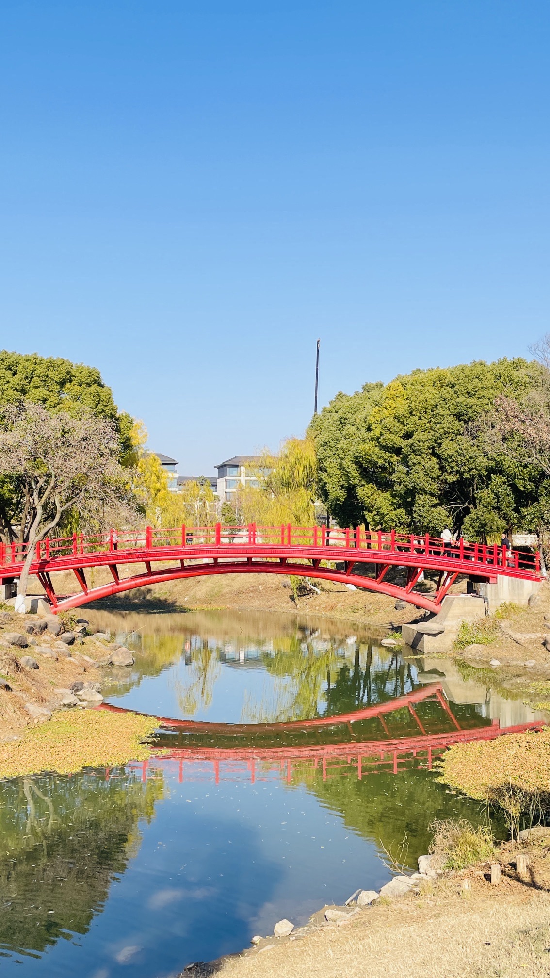 南京七桥瓮公园旅行图片 3