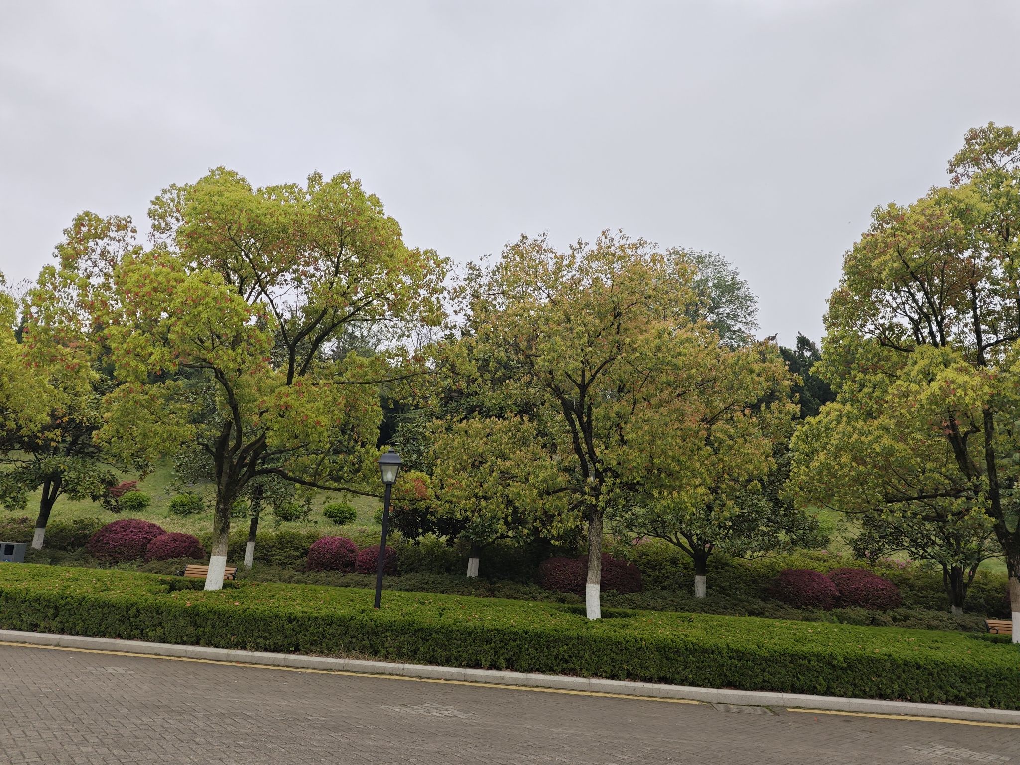 南京雨花台风景区旅行图片 3