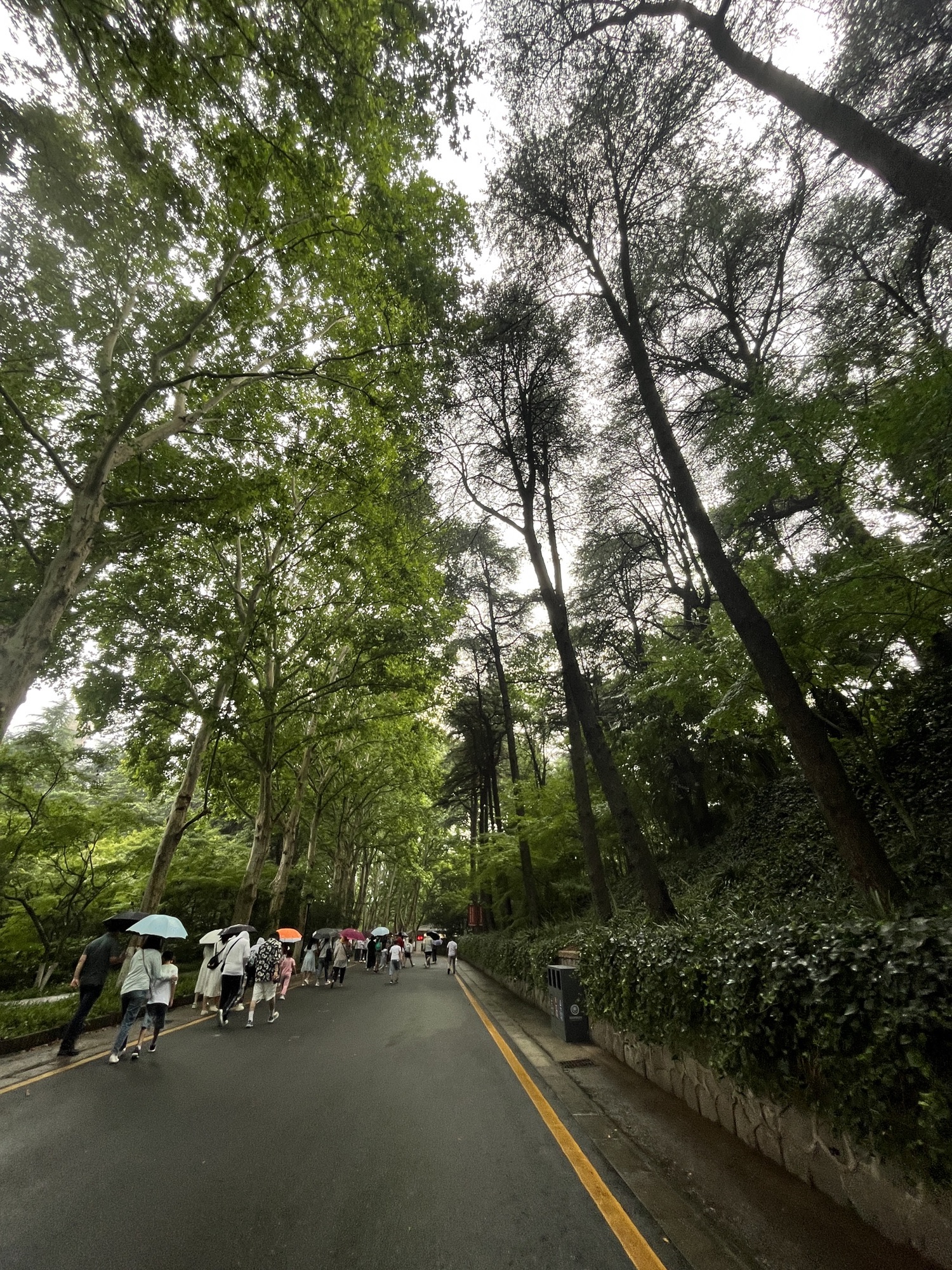 南京雨花台风景区旅行图片 3