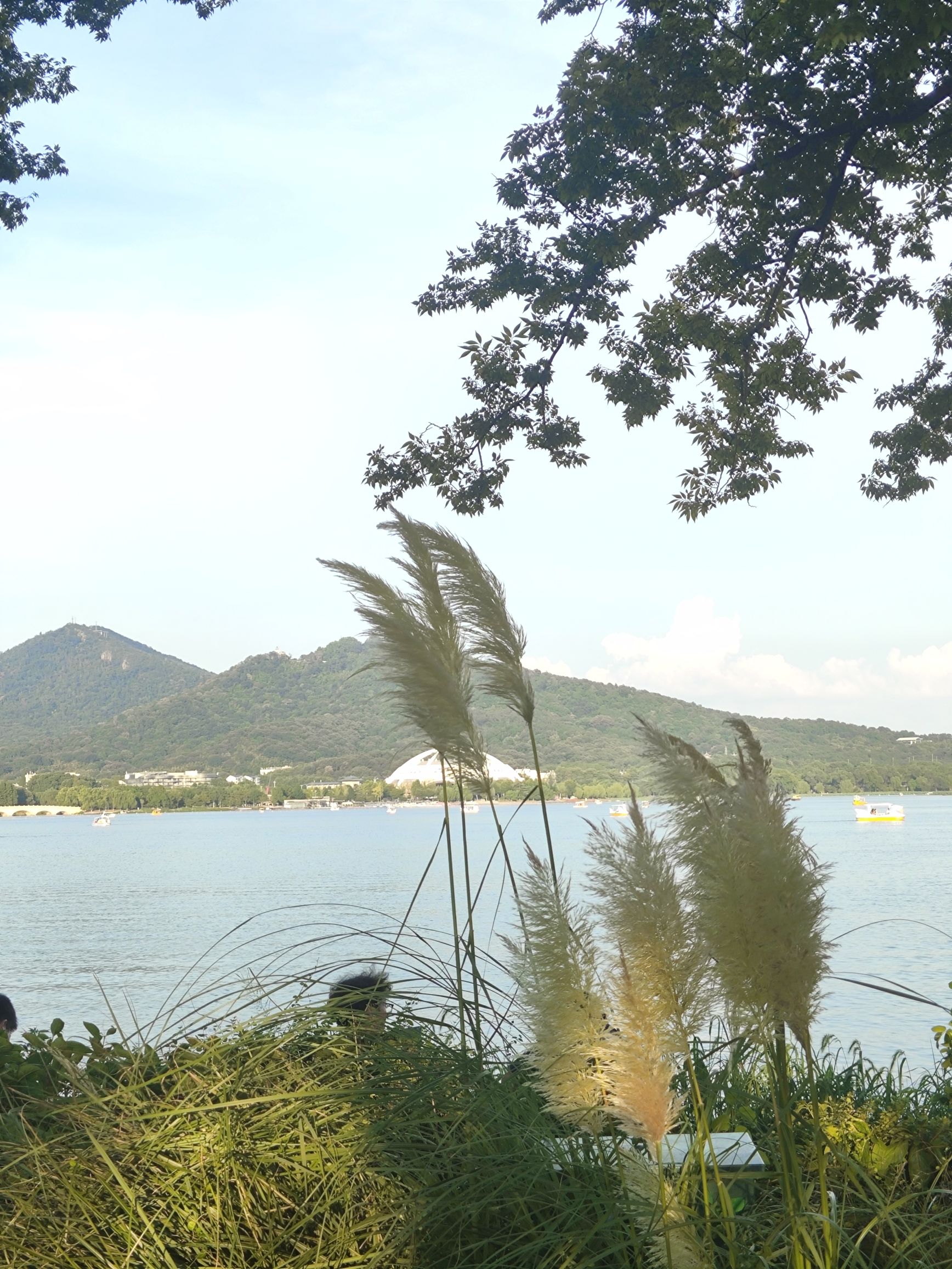 玄武湖景区旅行图片 2