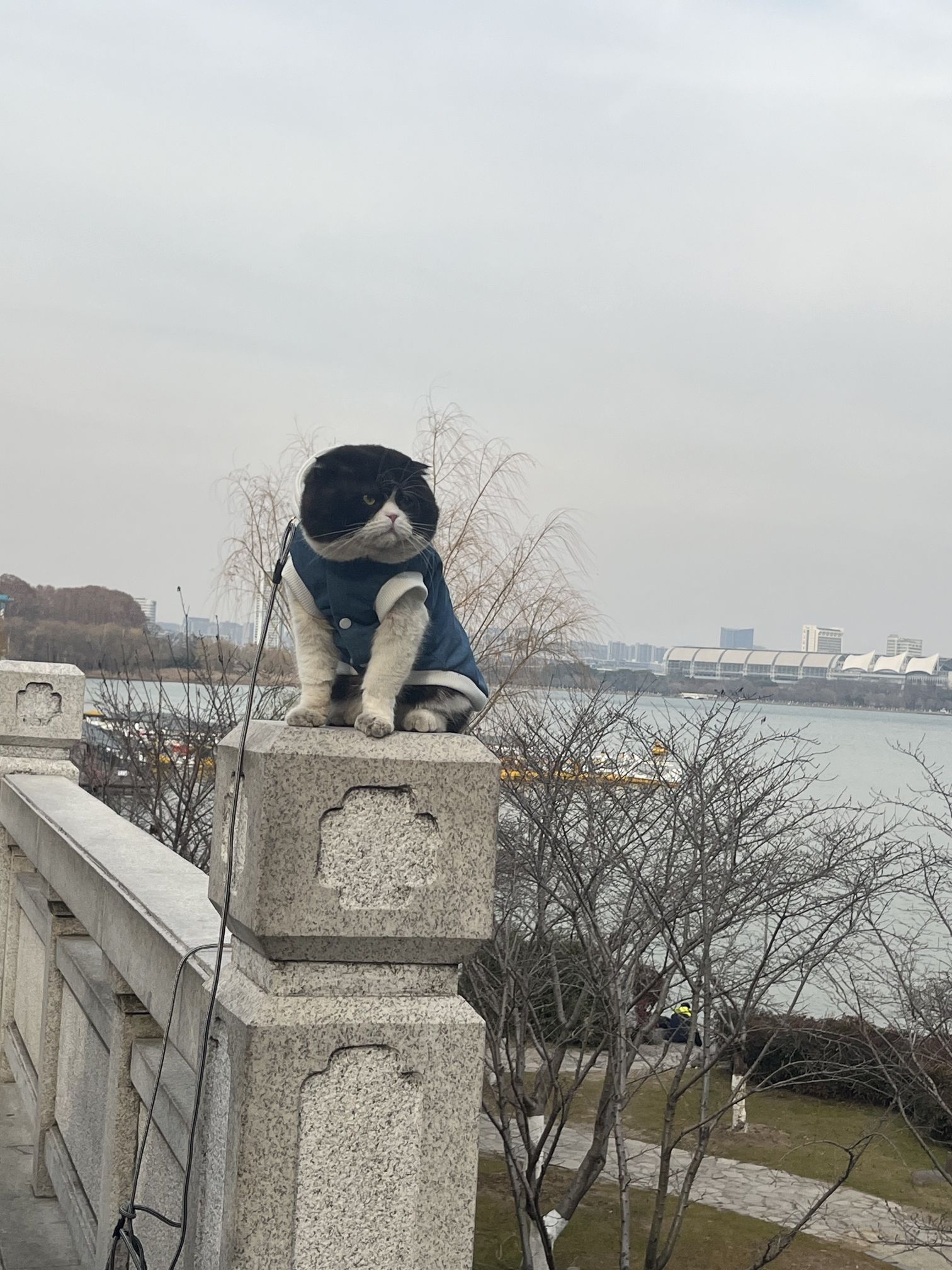 玄武湖景区旅行图片 2