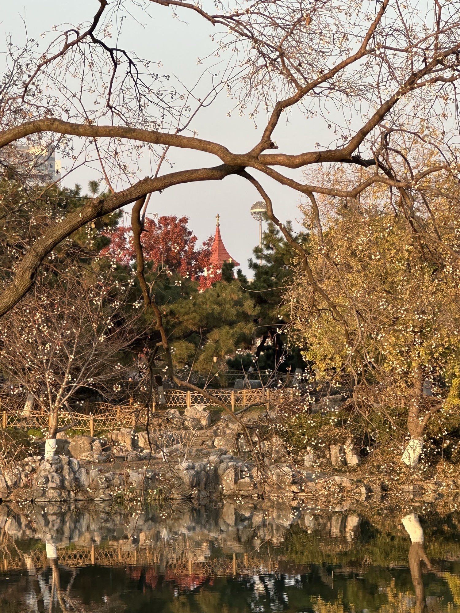 玄武湖景区旅行图片 2