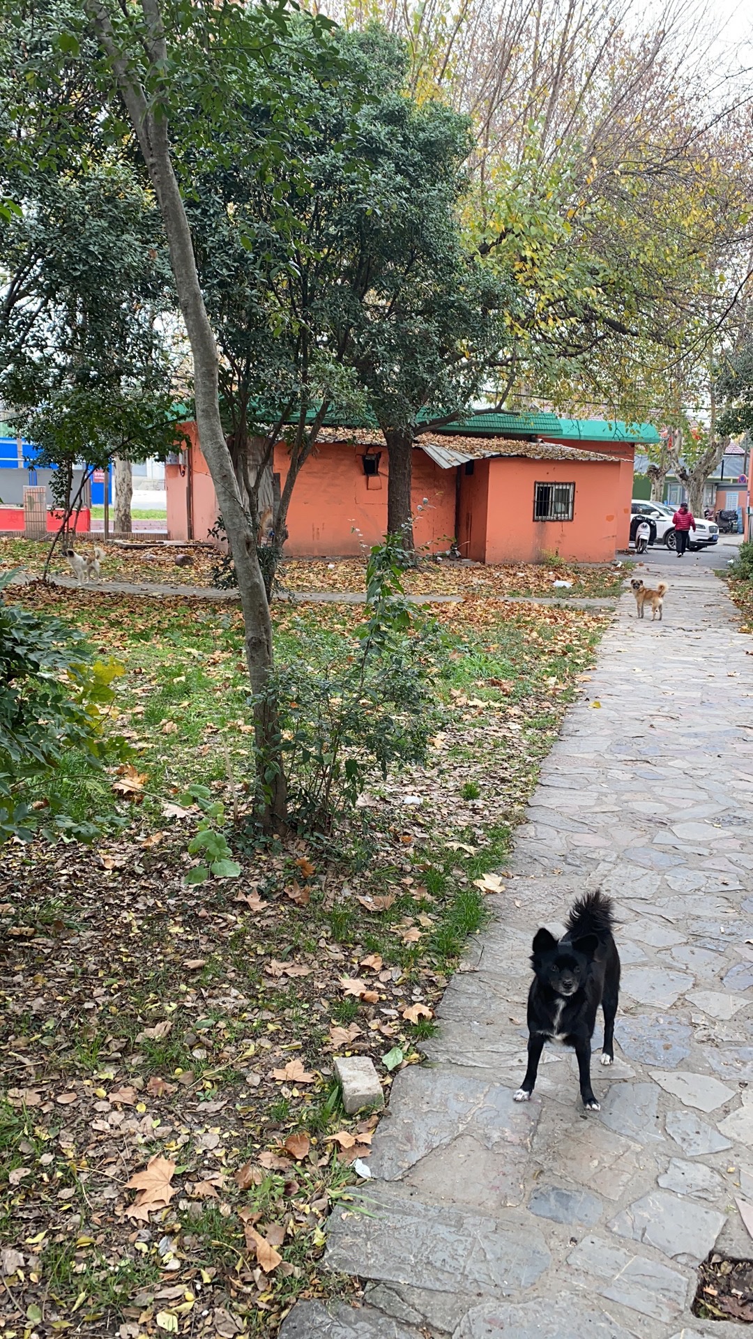 伯乐园旅行图片 3