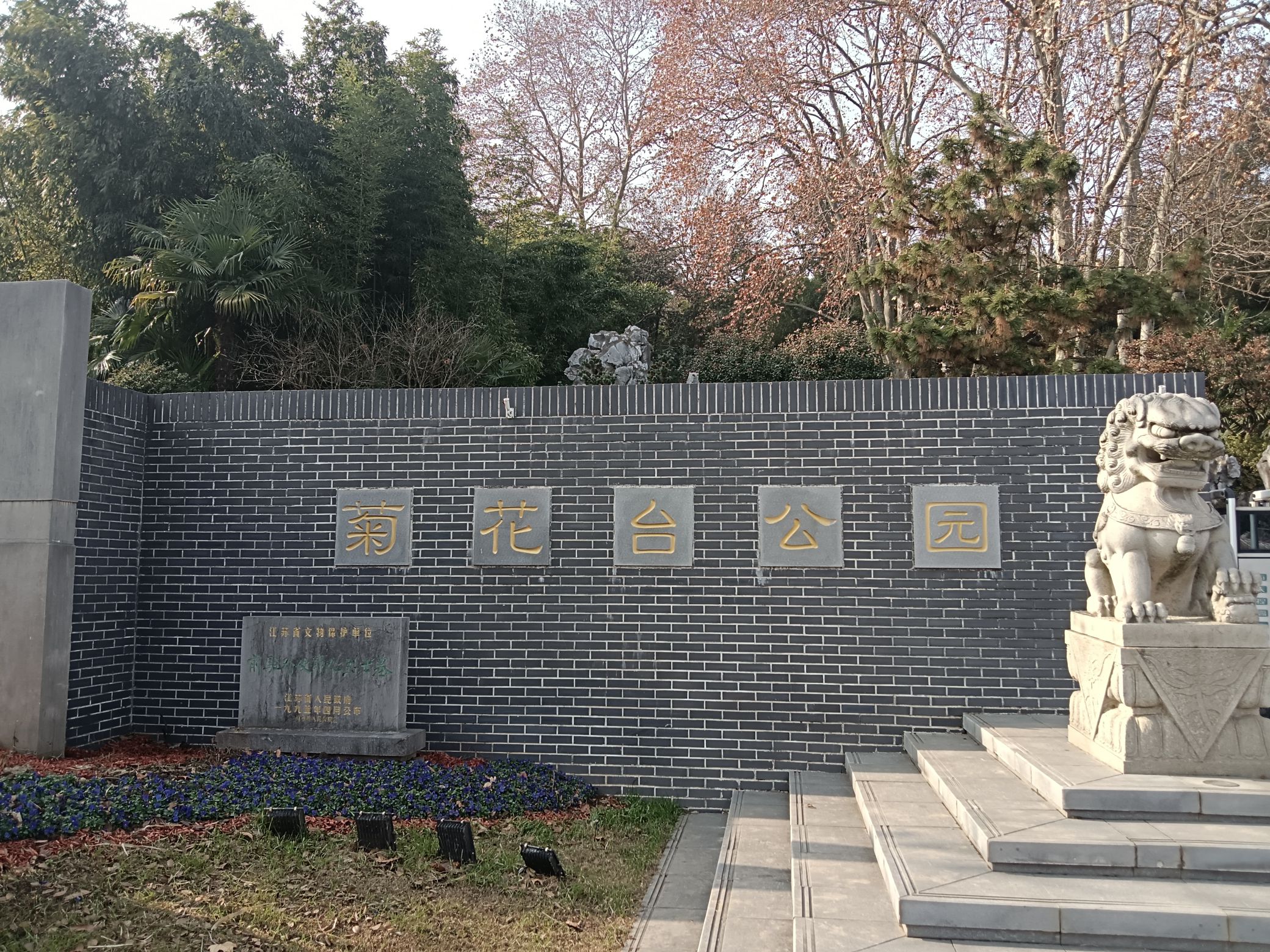 菊花台公园旅行图片 1