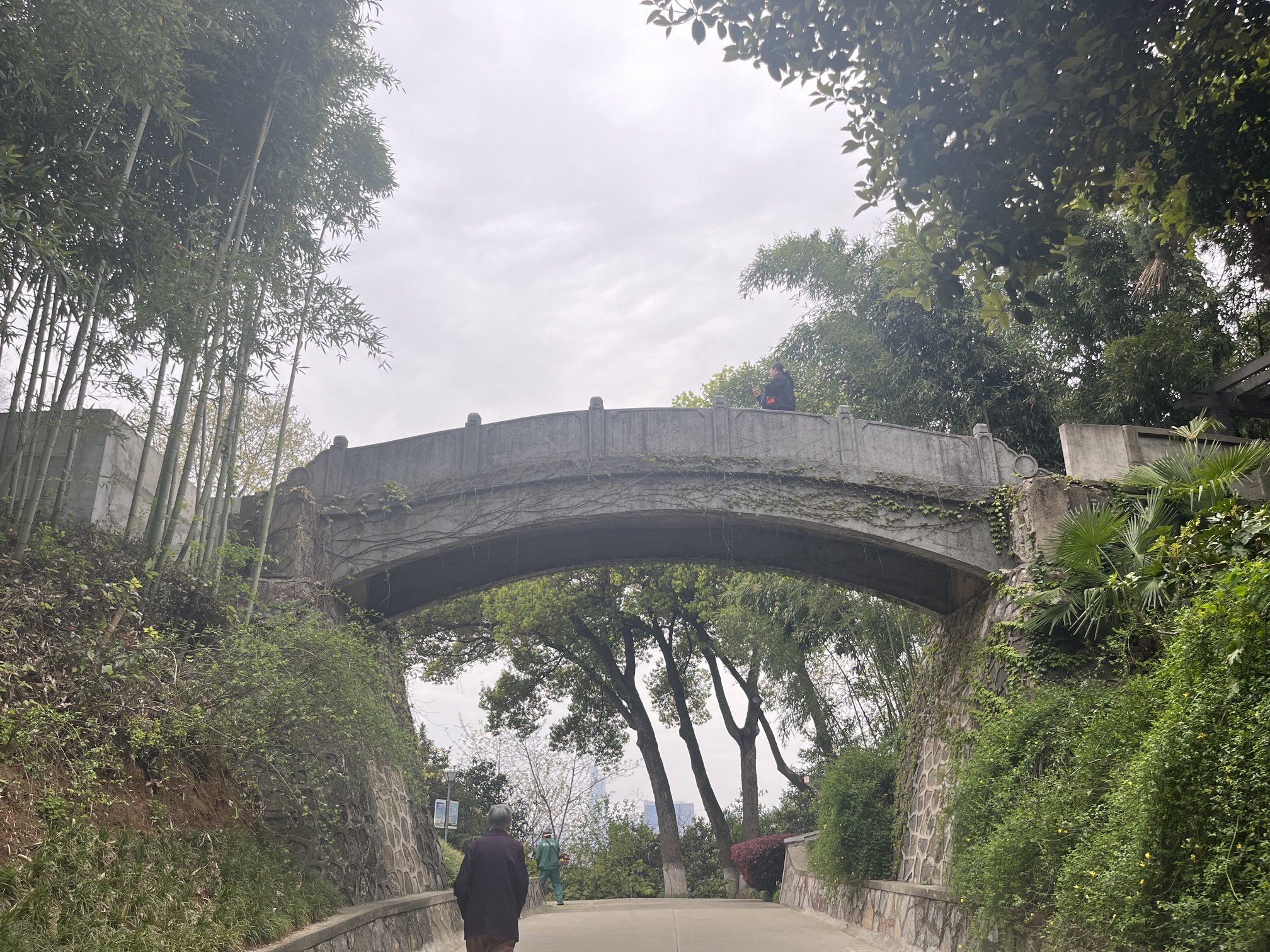 菊花台公园旅行图片 2