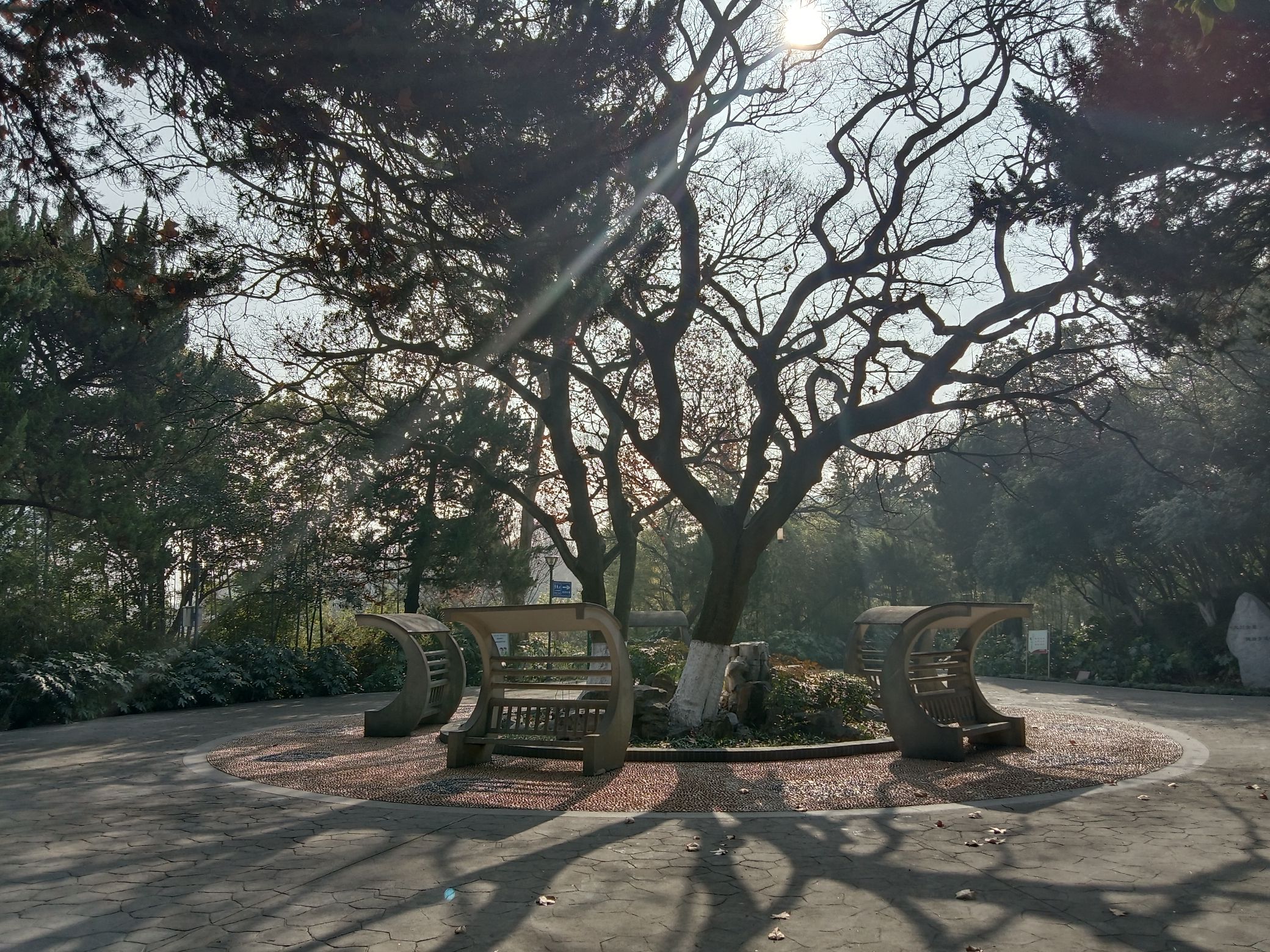 菊花台公园旅行图片 2