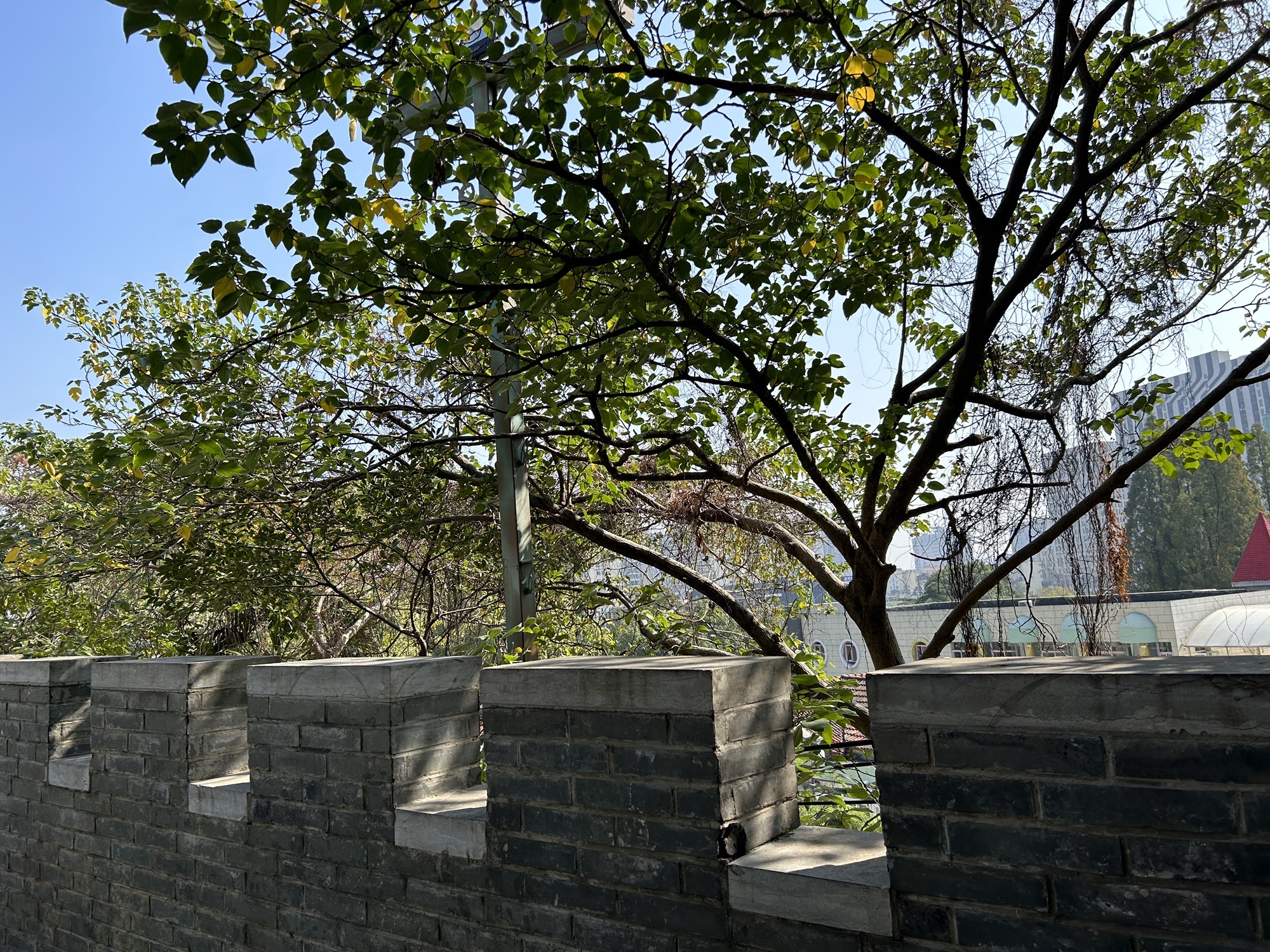 东山公园(戴家塘)旅行图片 2