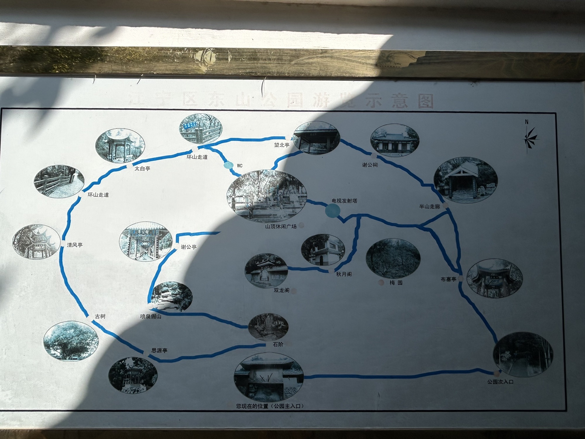 东山公园(戴家塘)旅行图片 3