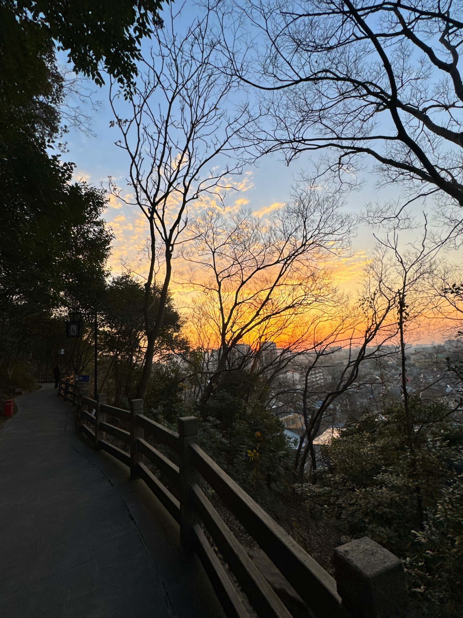 东山公园(戴家塘)旅行图片 3