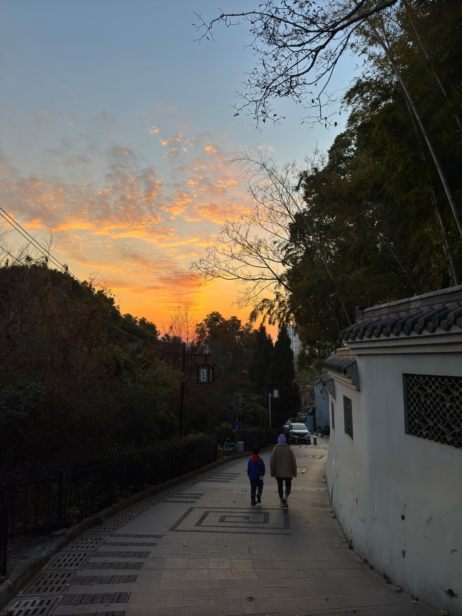 东山公园(戴家塘)旅行图片 2