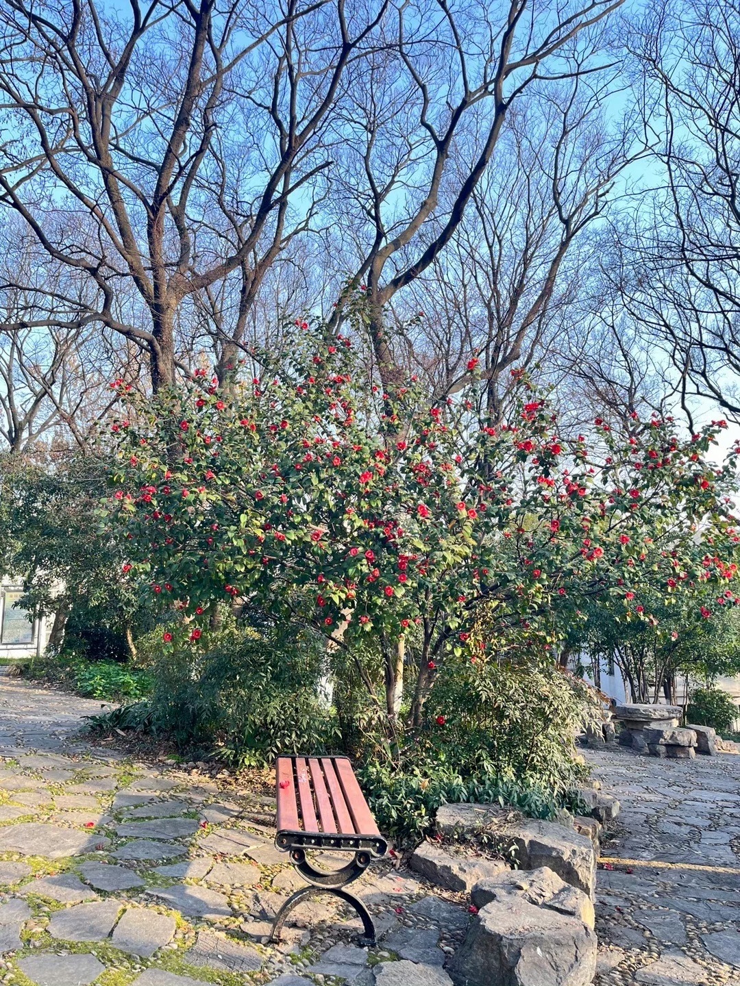 古林公园旅行图片 1